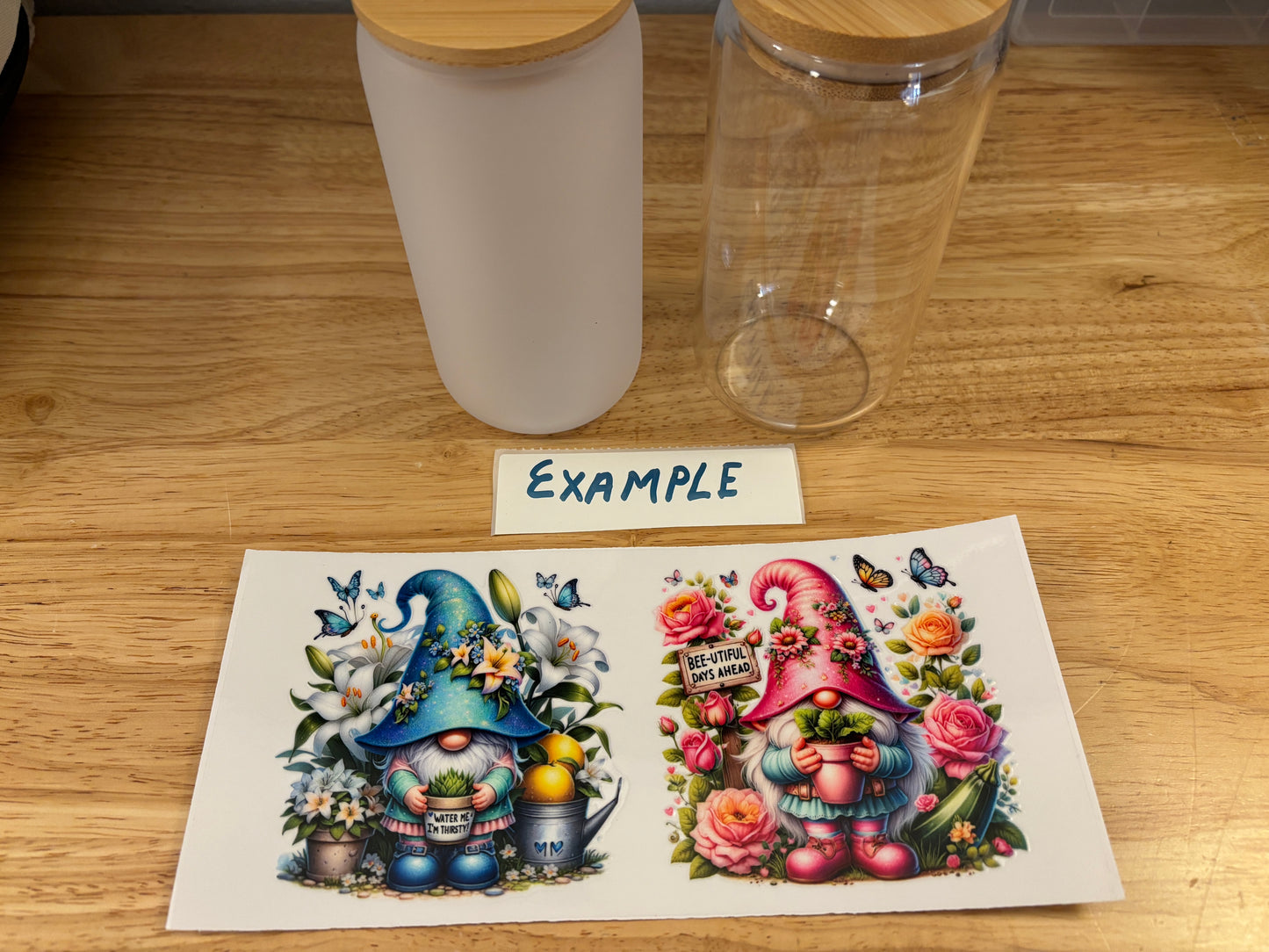 Blue and Pink Gnomes Glass Tumbler, Clear or Frosted Tumblers option