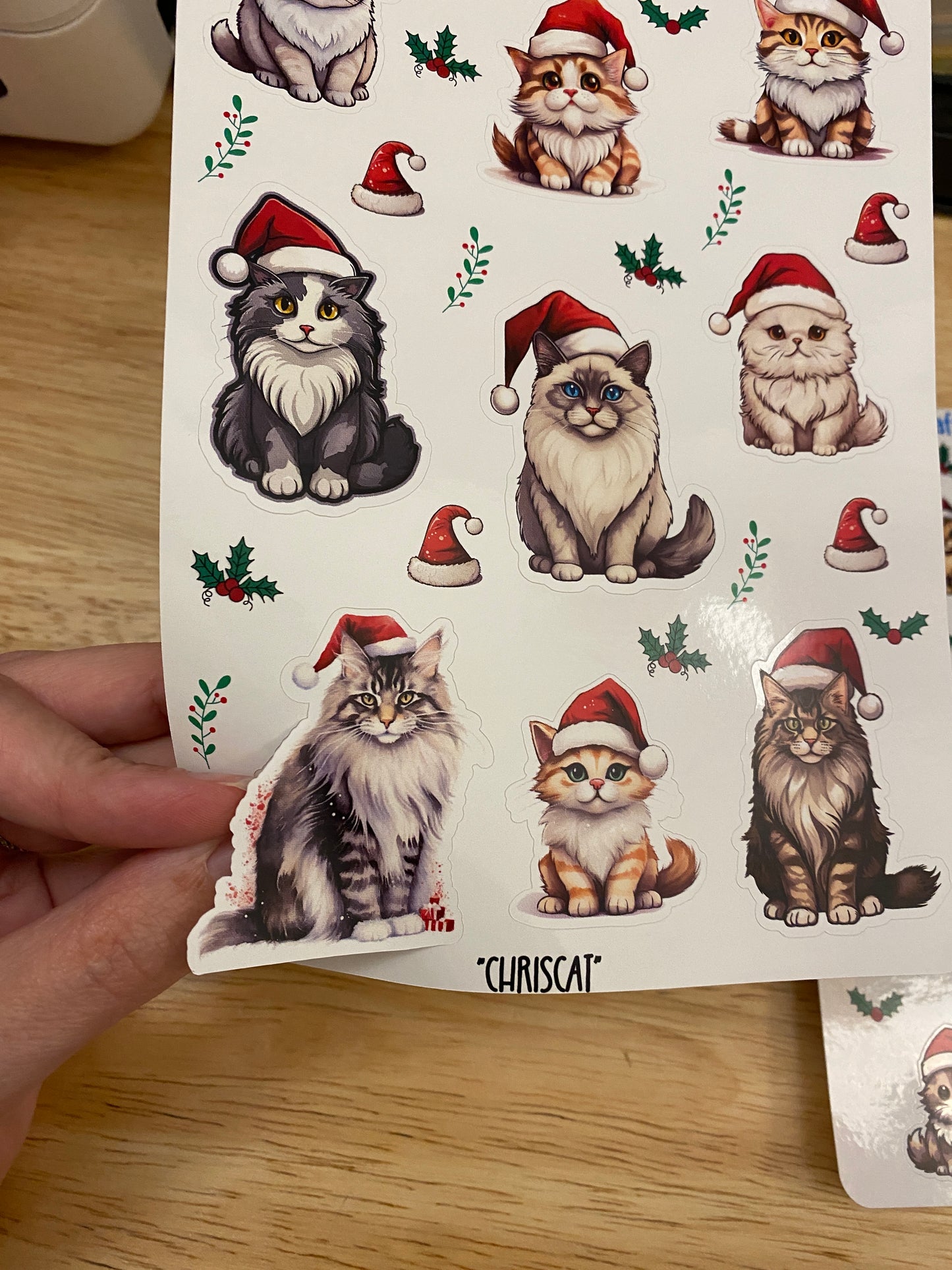 2 sheets Santa kitties sticker, Santa cats Sticker Sheet, cat Sticker Sheet, Christmas Kitties, Christmas Cat Stickers, Cat with Santa hat