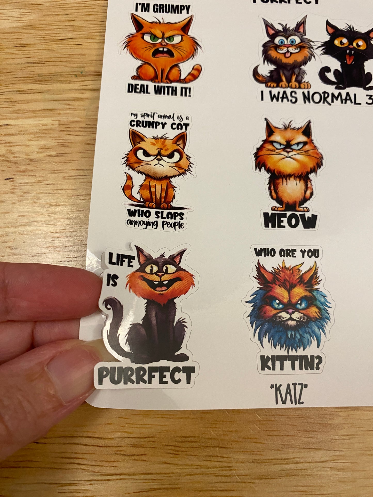 Funny Cat Sticker Sheet, Cat stickers, Sarcasm stickers, sarcastic cats