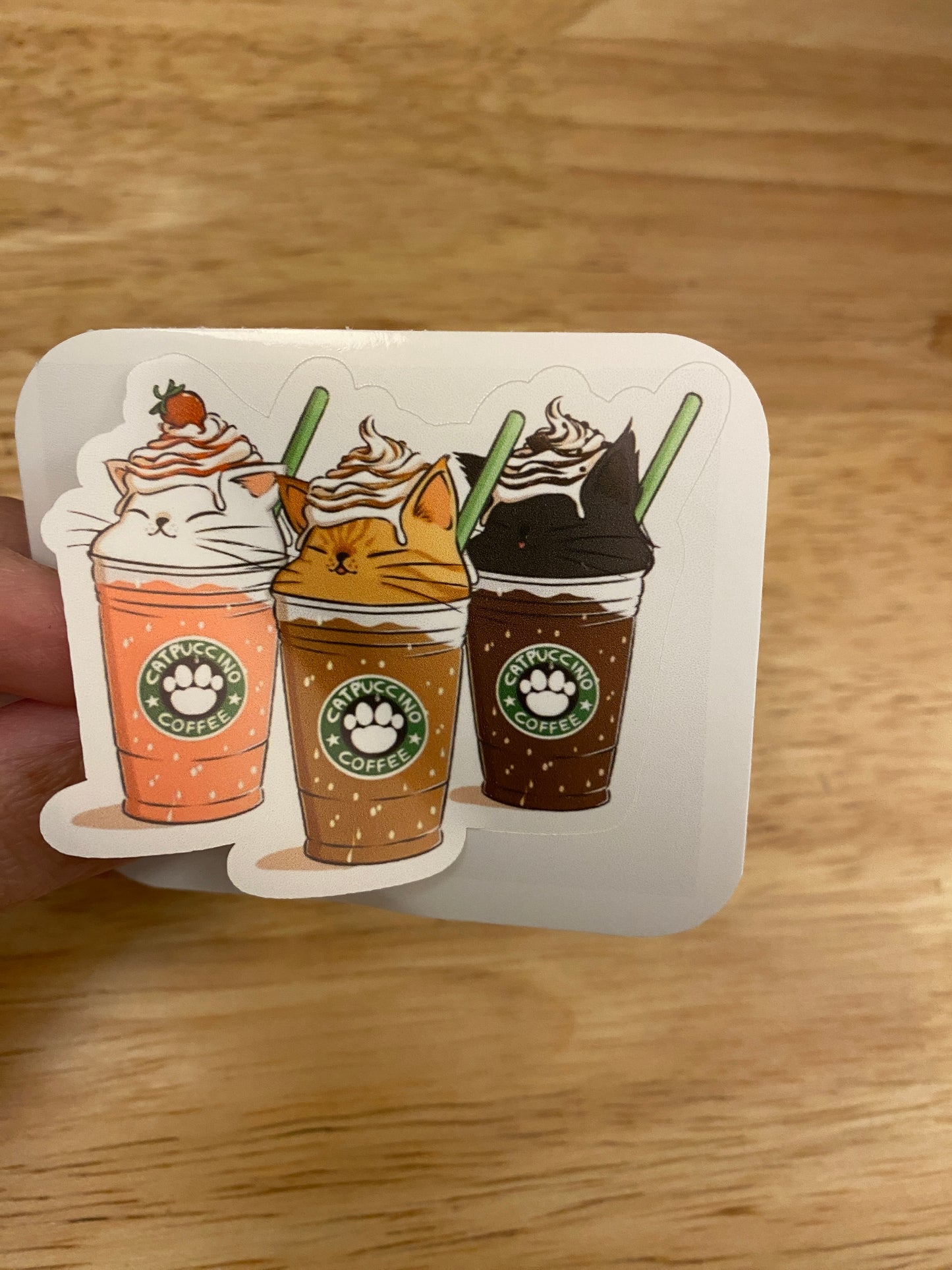 Mocha Catpuccino Coffee bundle set, Cat Gift Set, Cat Mug with iPhone 14 case and fridge magnet with matching sticker set,