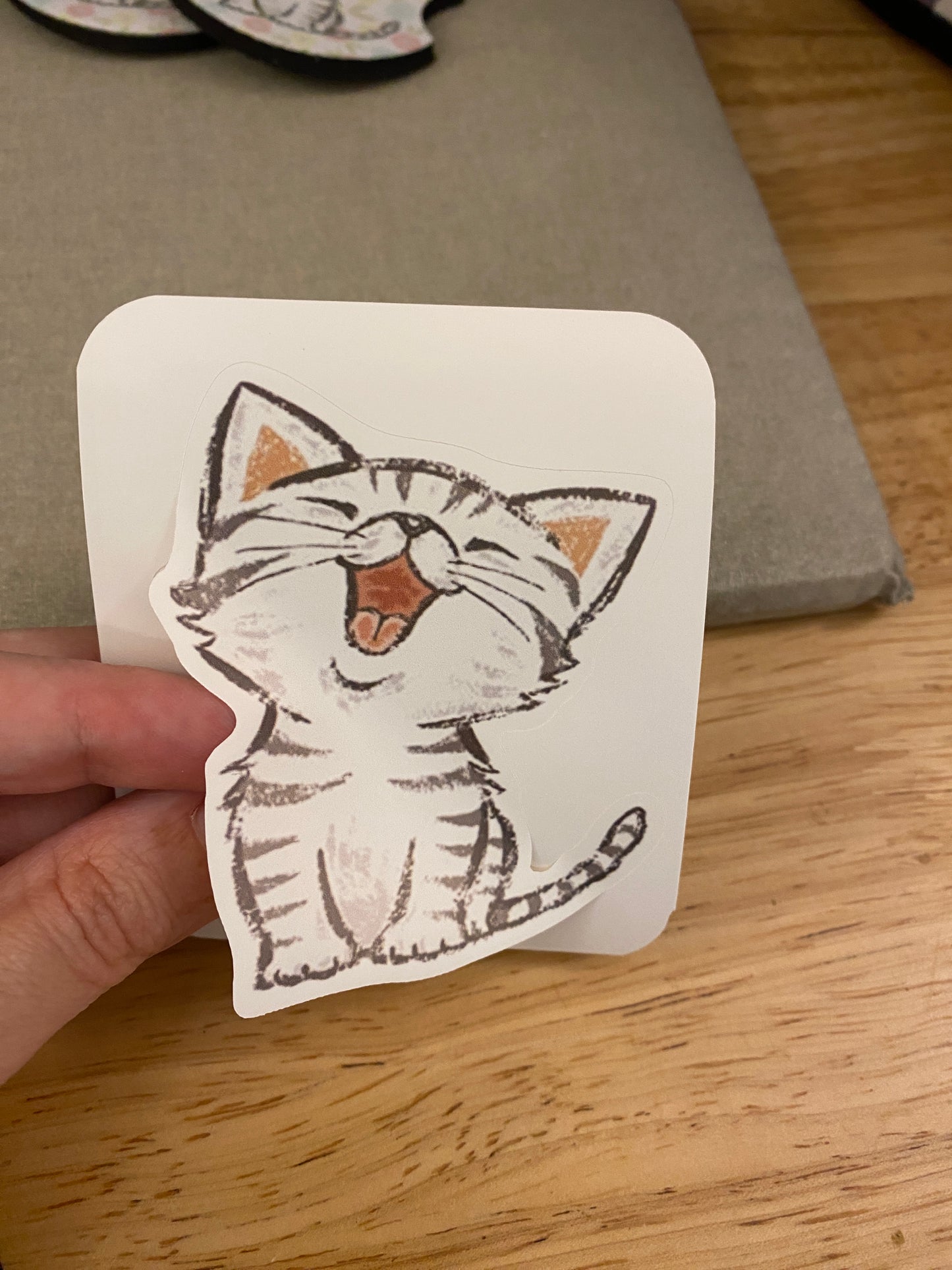 Singing Cat bundle set, Tabby Cat Gift Set, Cat Mug with iPhone 14 case and fridge magnet with matching sticker set, Cat Bundle set