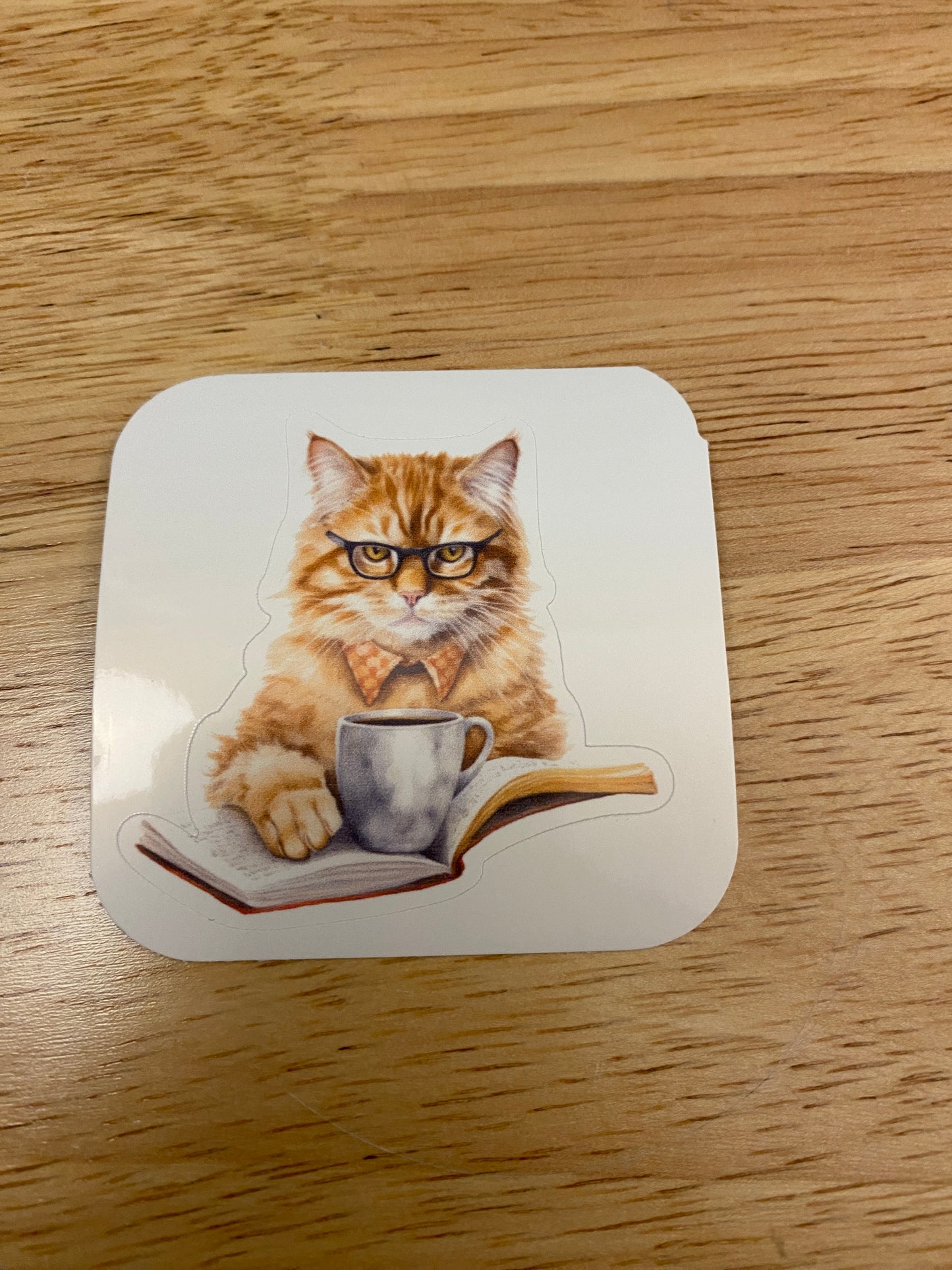 Cat reading and Coffee Sticker, Red Cat Sticker, Cute Cat with Paper Sticker, Yellow Cat Sticker, cat sticker, Funny Cat sticker