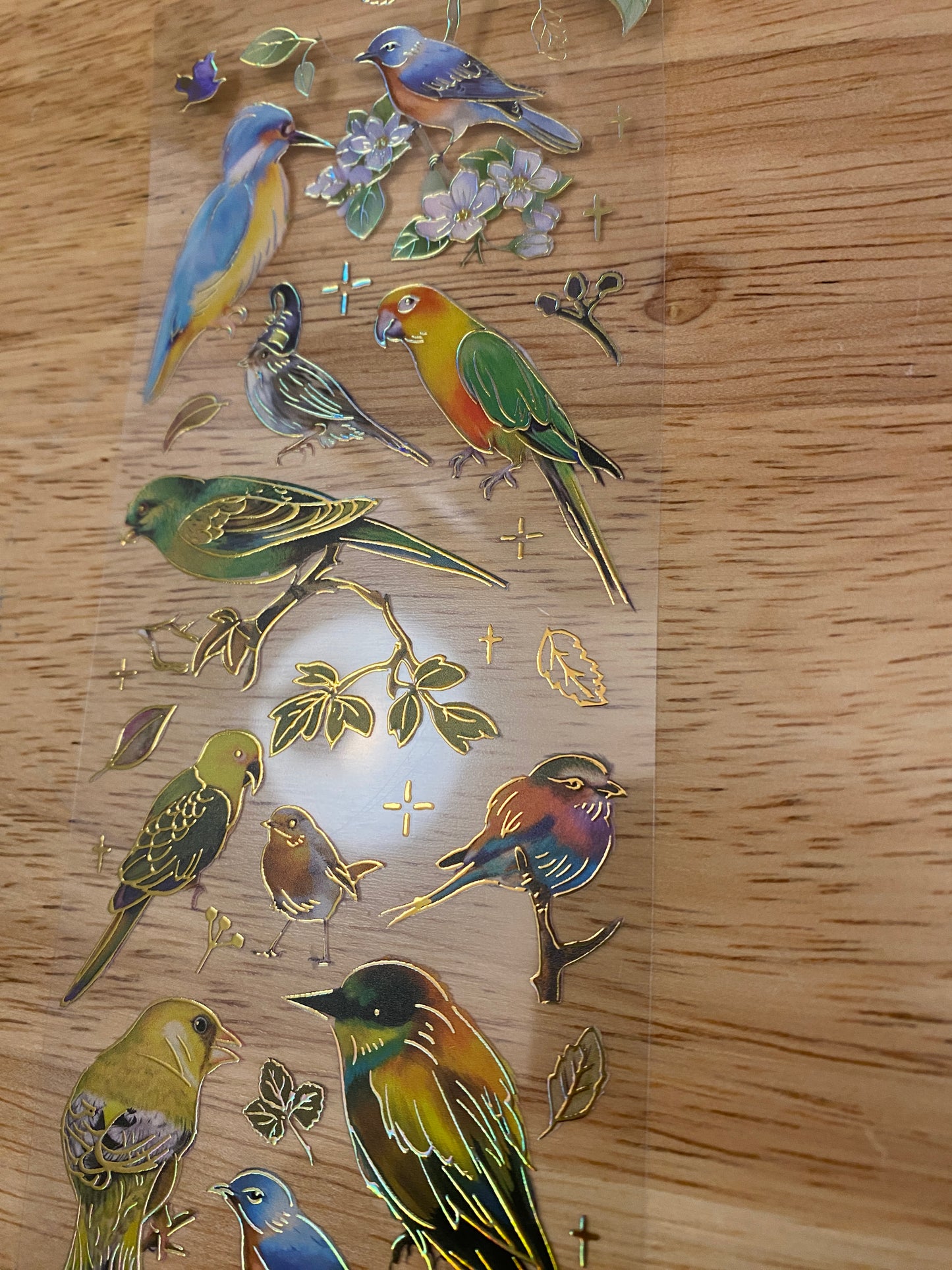 PET Foil Clear Tape with Green Birds