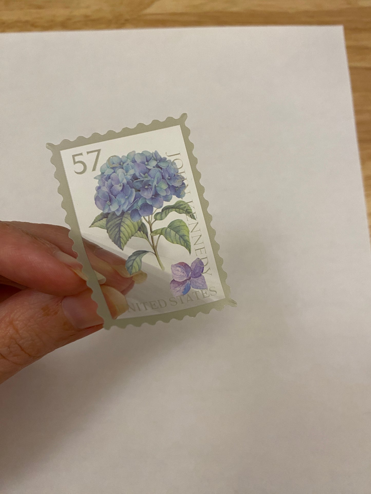 Clear Stamp Hydrangea Stickers PET 20 pieces,