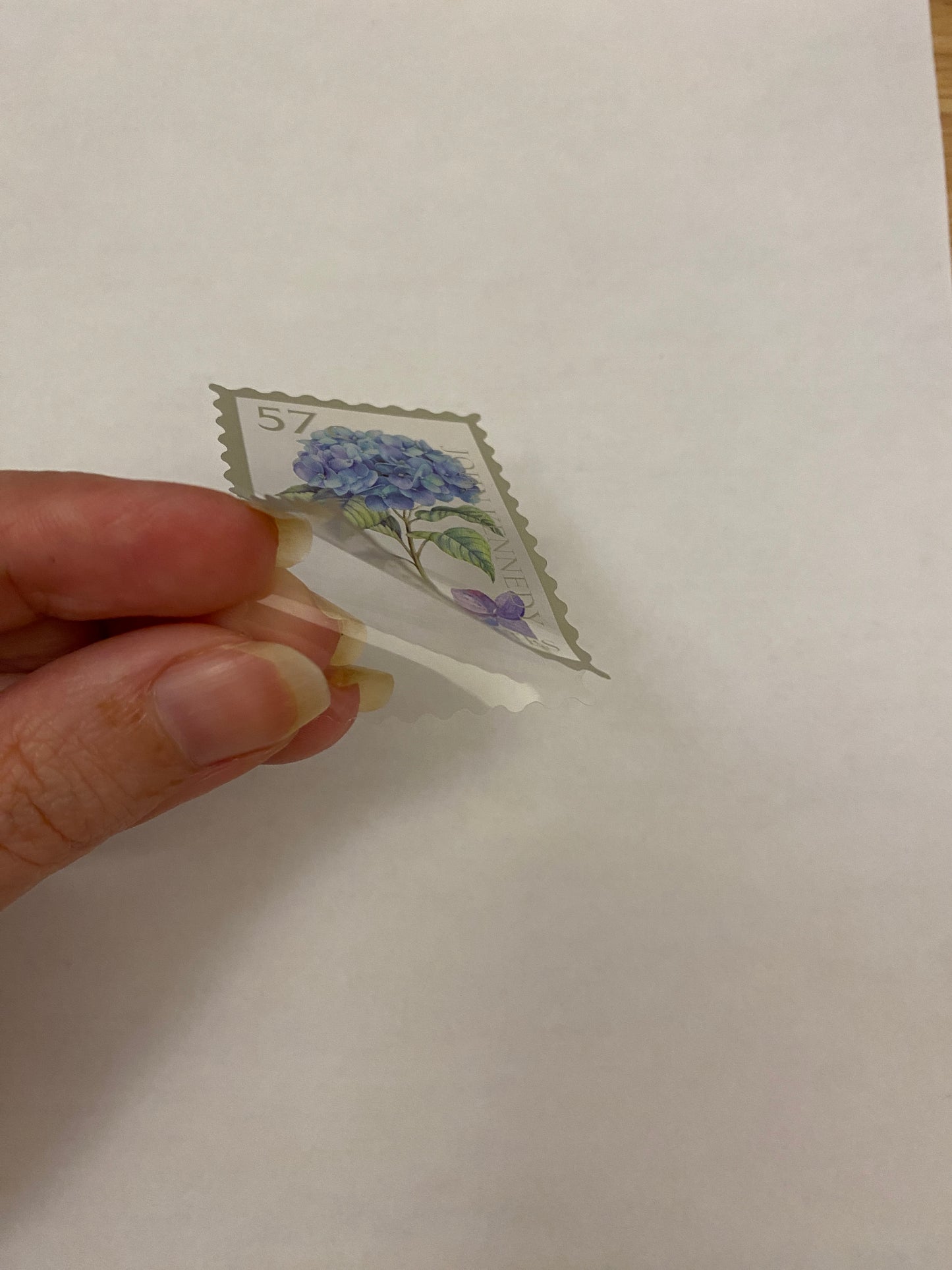 Clear Stamp Hydrangea Stickers PET 20 pieces,