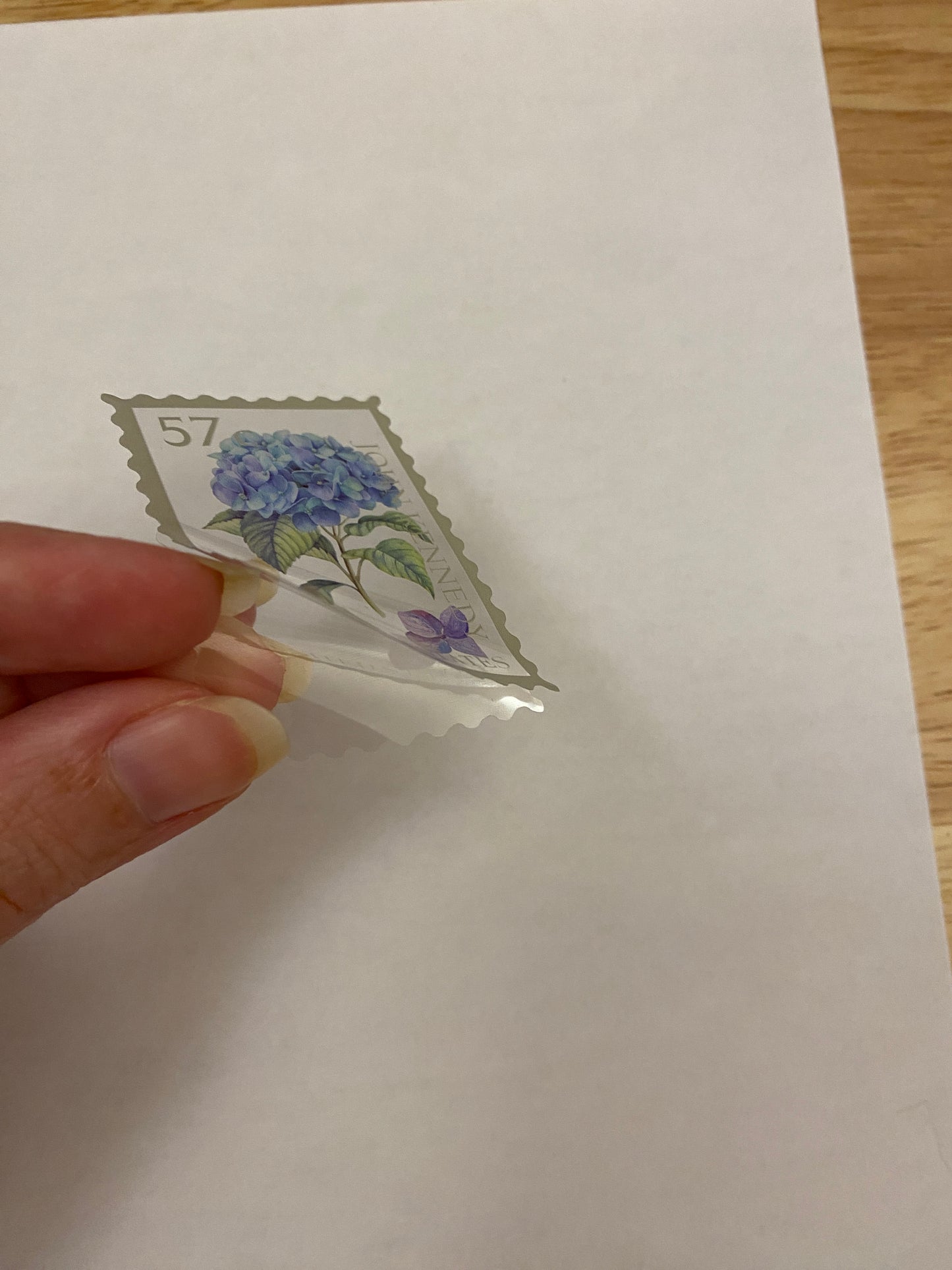 Clear Stamp Hydrangea Stickers PET 20 pieces,