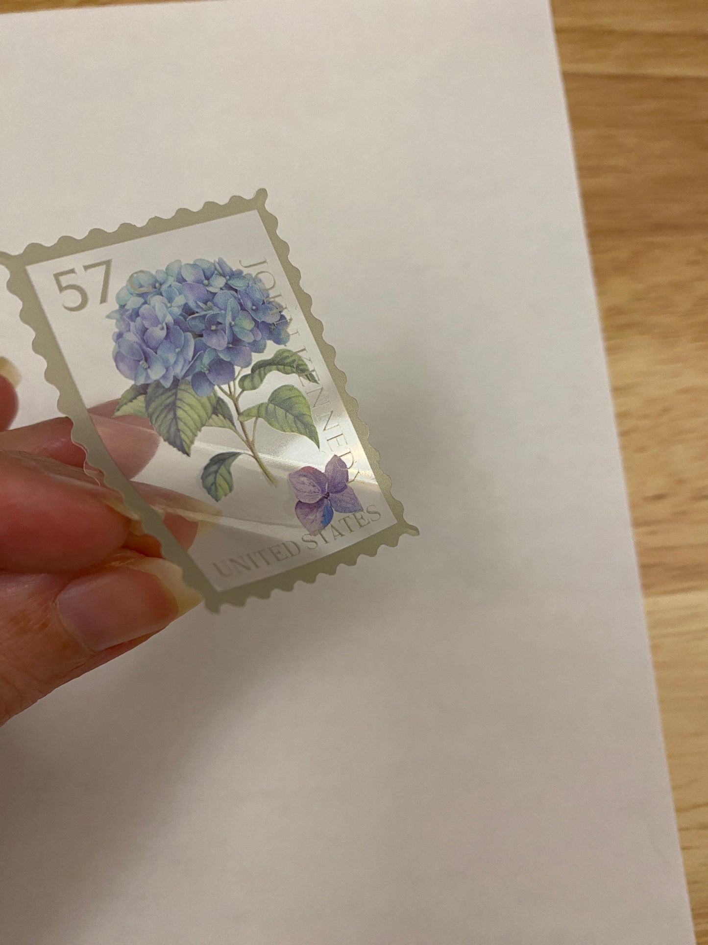 Clear Stamp Hydrangea Stickers PET 20 pieces,