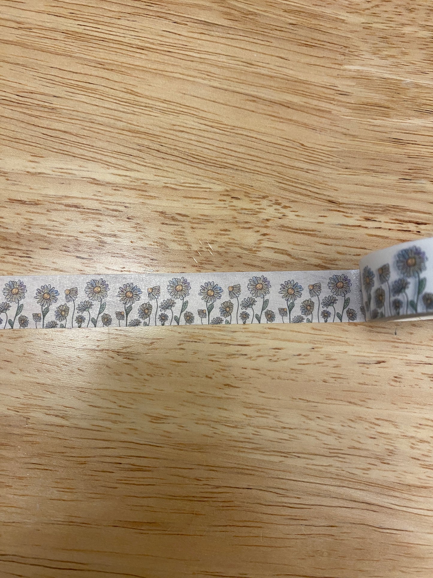 Big Roll of Stemmed Daisy of all sizes Washi Tape