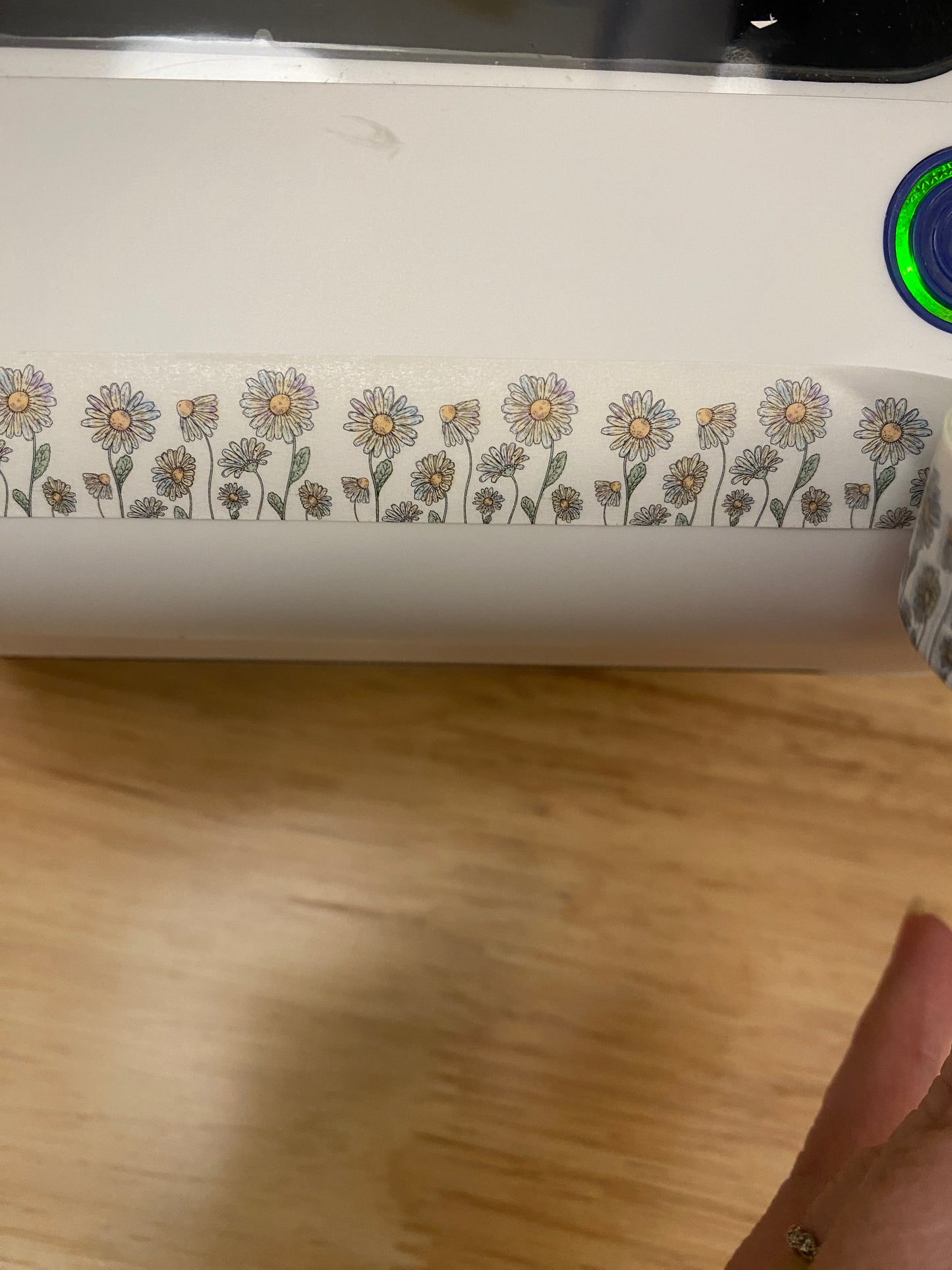 Big Roll of Stemmed Daisy of all sizes Washi Tape