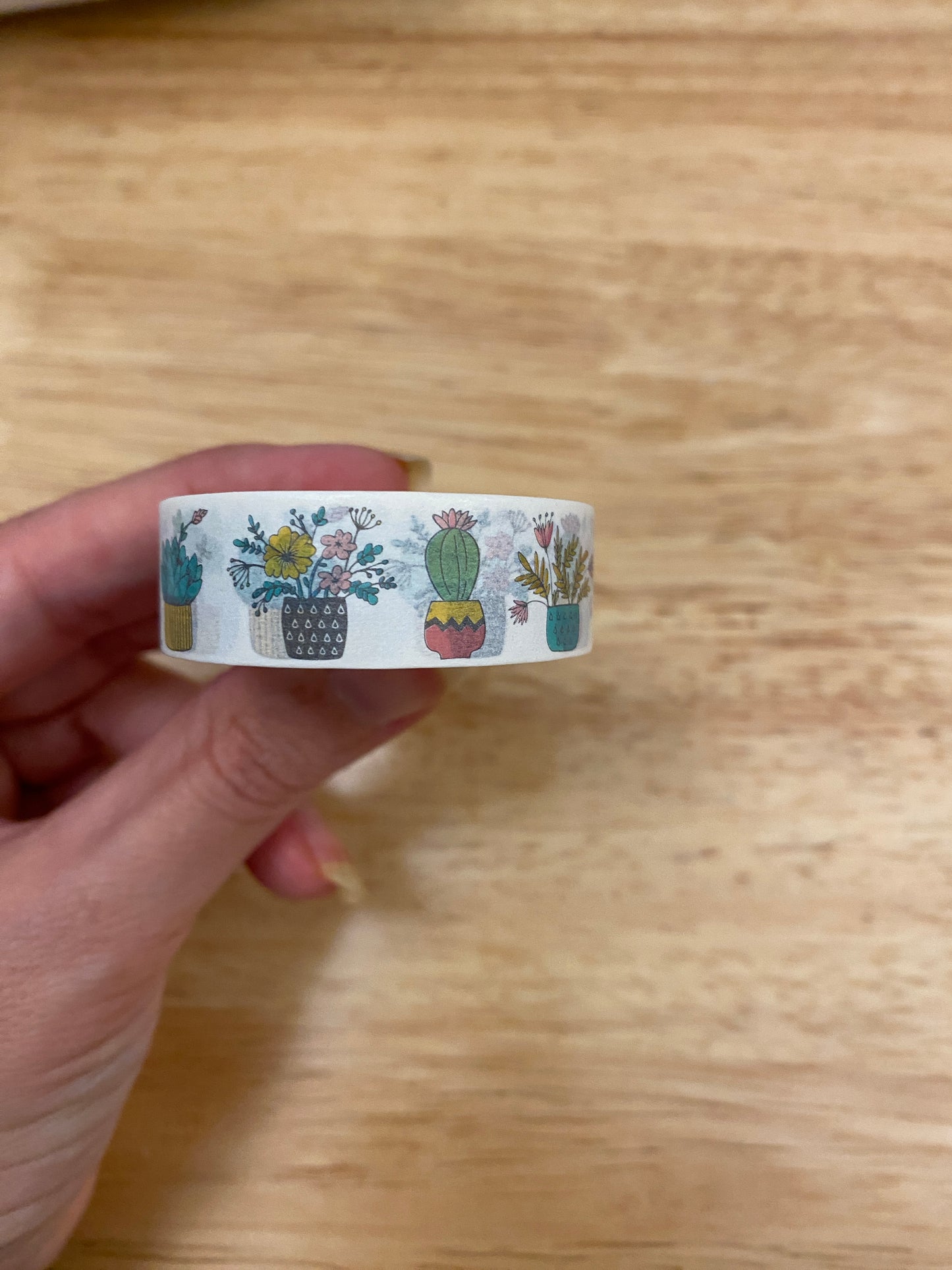 Big Roll of Plants in Vases Washi Tape