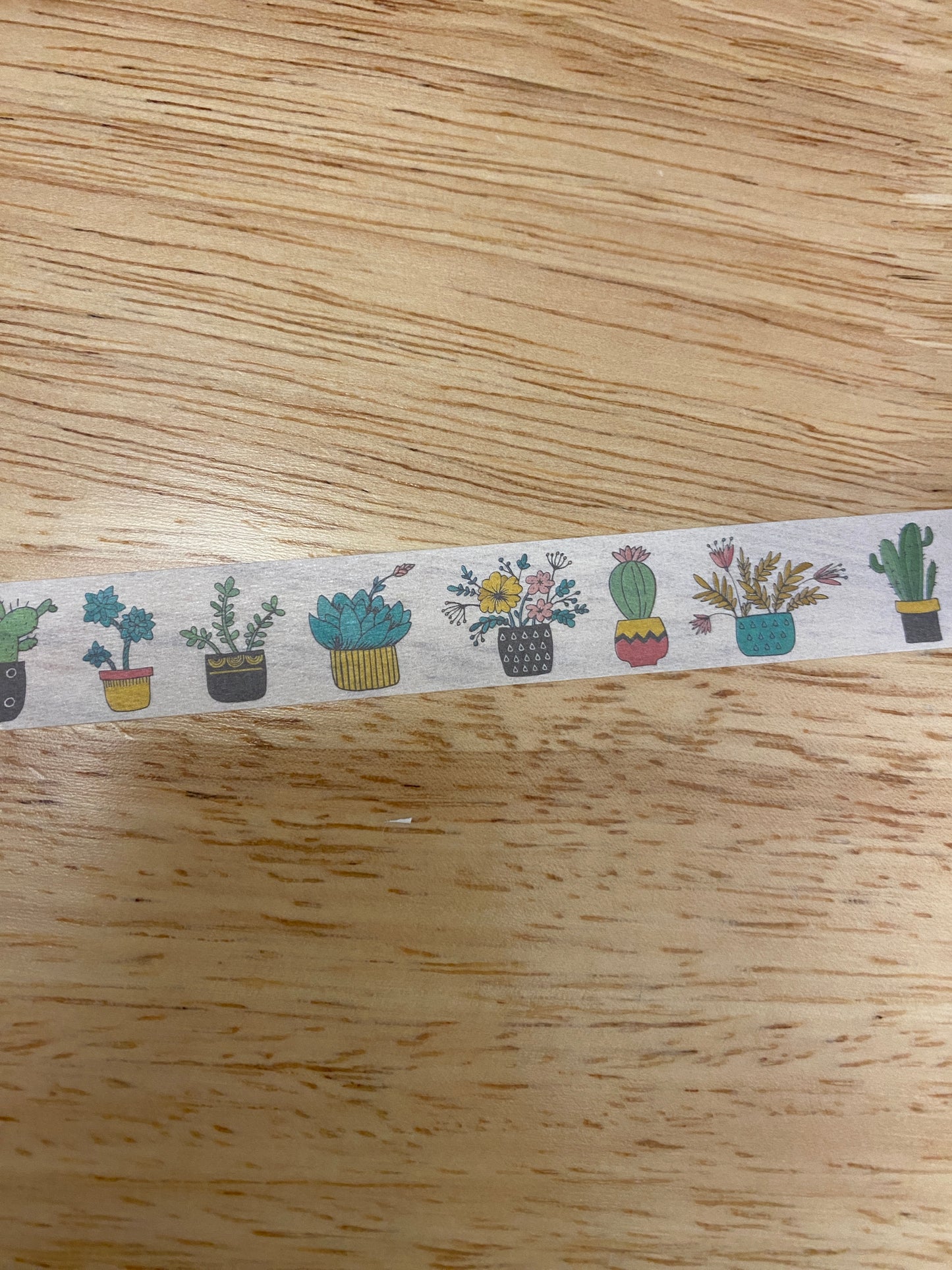 Big Roll of Plants in Vases Washi Tape
