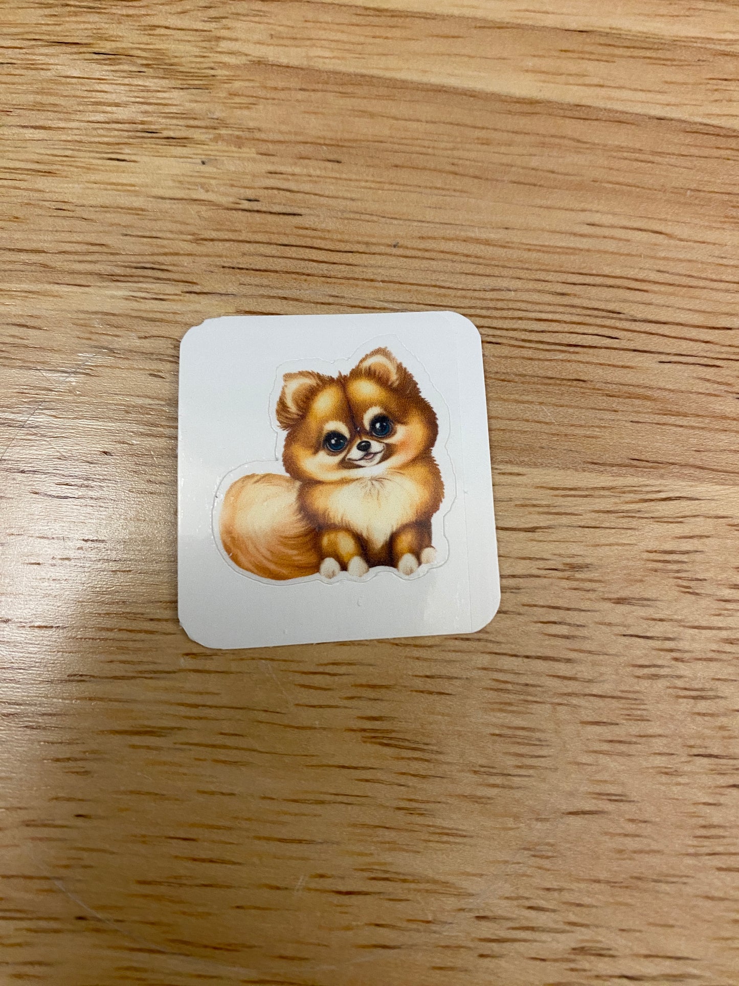 Pomeranian Dog STICKER