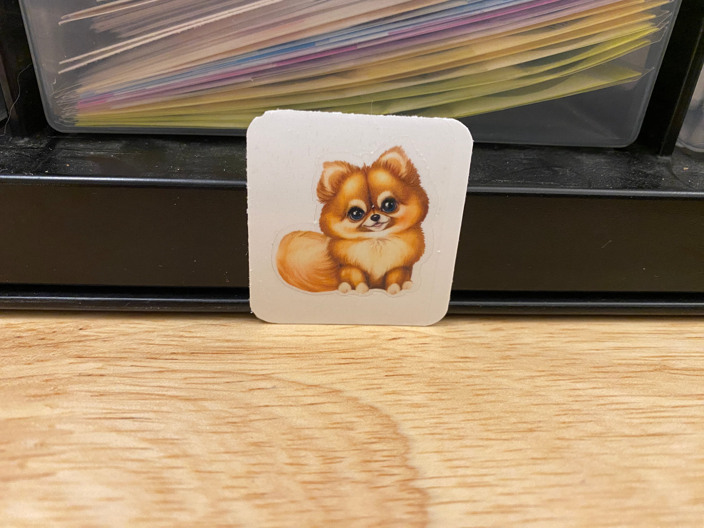 Pomeranian Dog STICKER