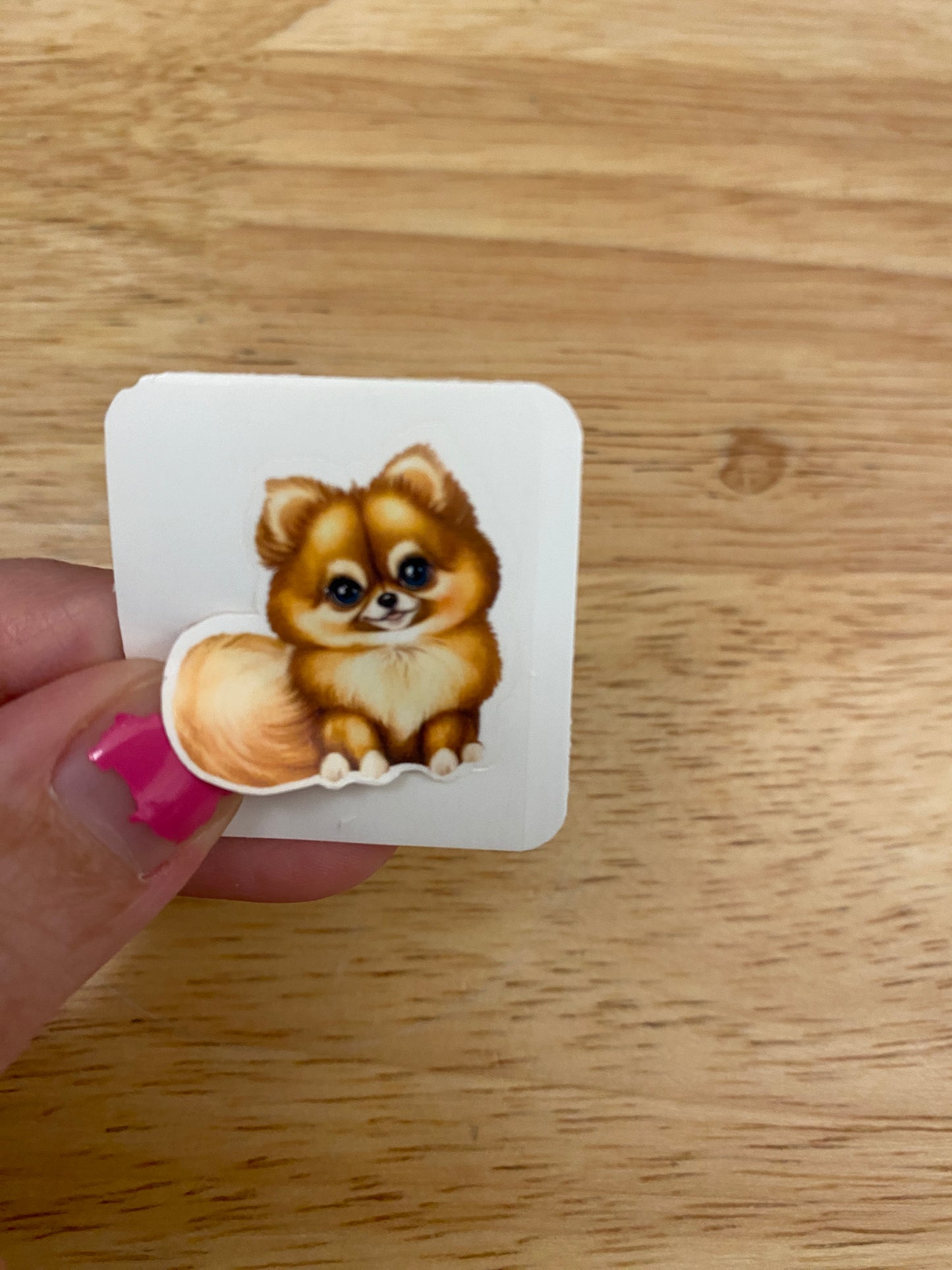 Pomeranian Dog STICKER