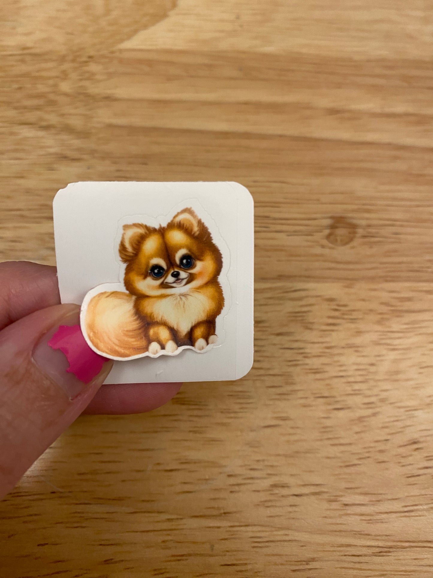 Pomeranian Dog STICKER