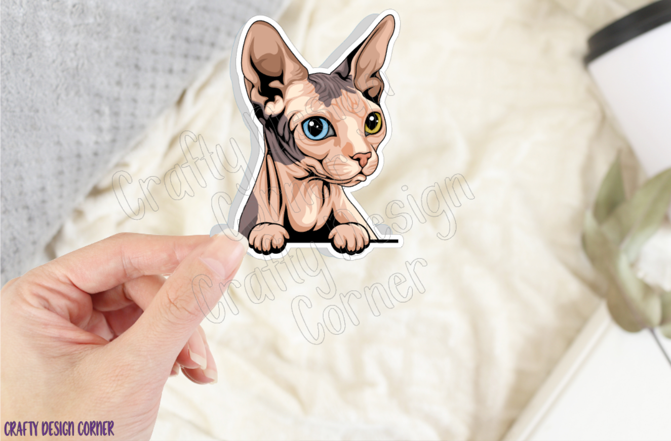 Odd Eyes Sphynx Cat, Blue and white Sphynx cat, Hairless Grey Cat Sticker, Sphynx Kitty, Blue with white Sphynx Sticker Cat, Heterochromia