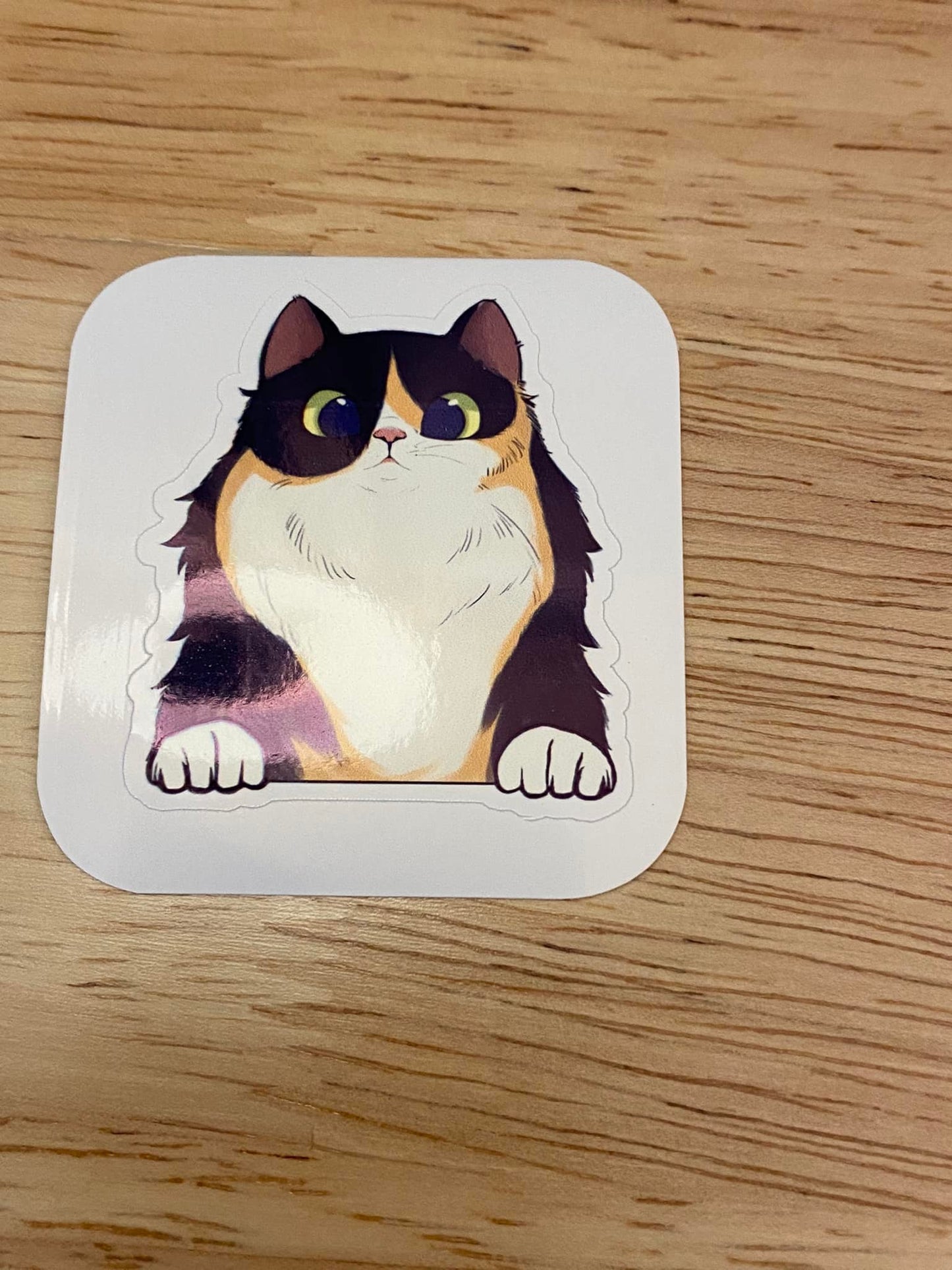 Fluffy Tortieshell Cat STICKER