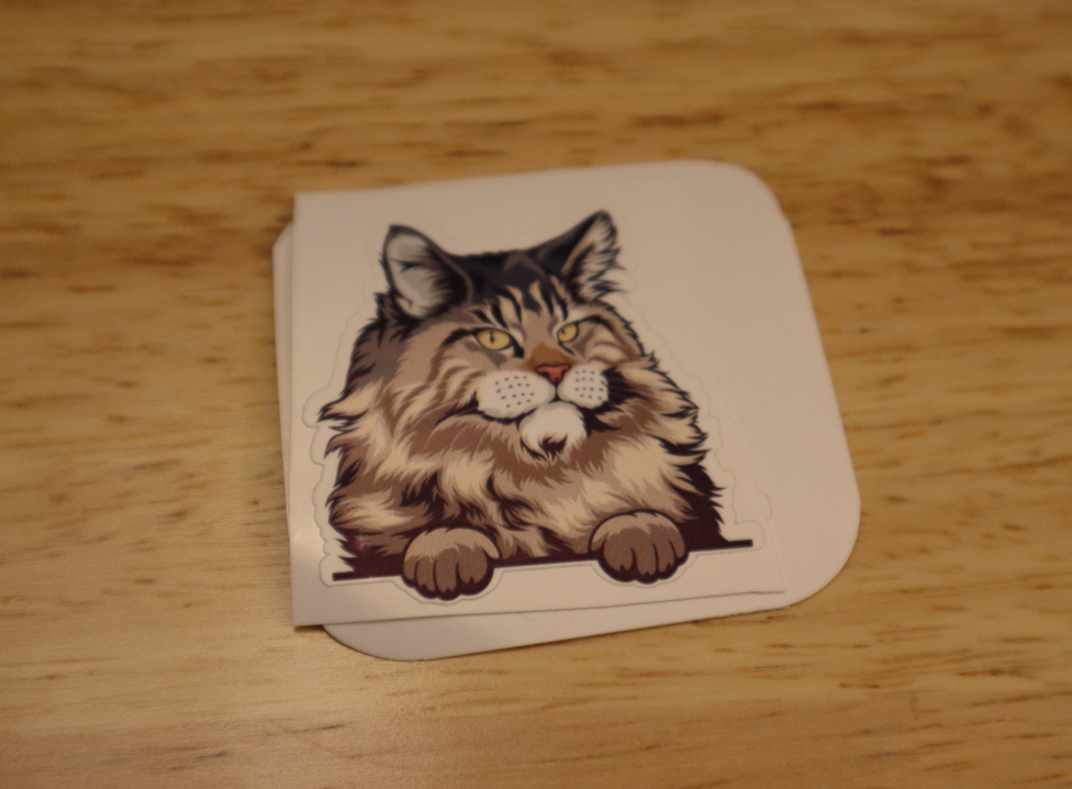 Tabby Maine Coon STICKER