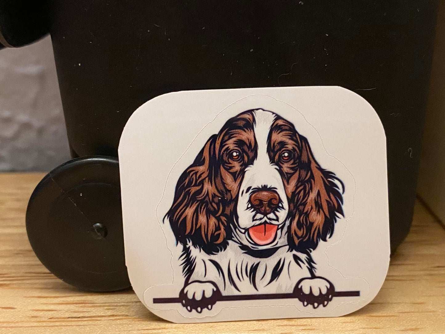 Peeking English Springer Spaniel Dog STICKER