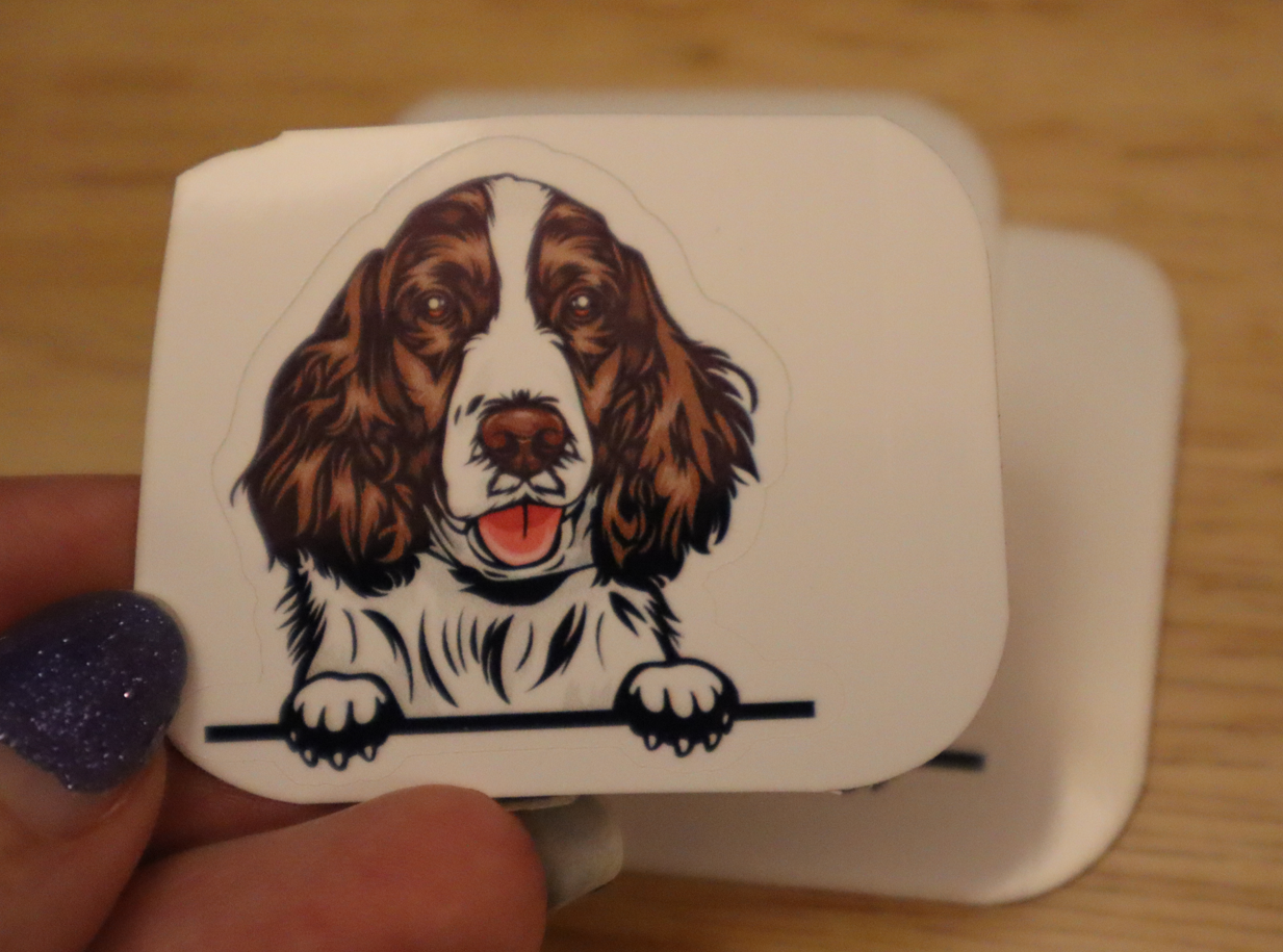 Peeking English Springer Spaniel Dog STICKER