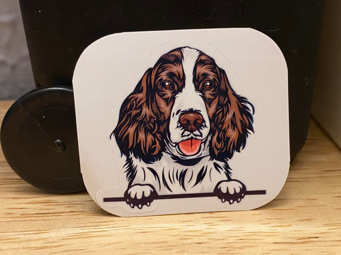 Peeking English Springer Spaniel Dog STICKER