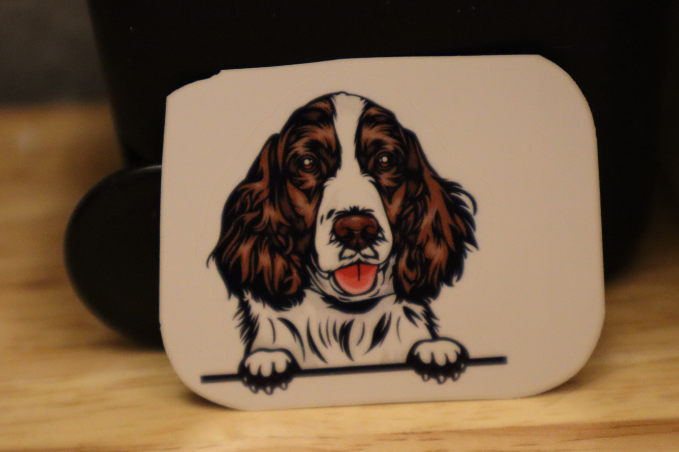 Peeking English Springer Spaniel Dog STICKER