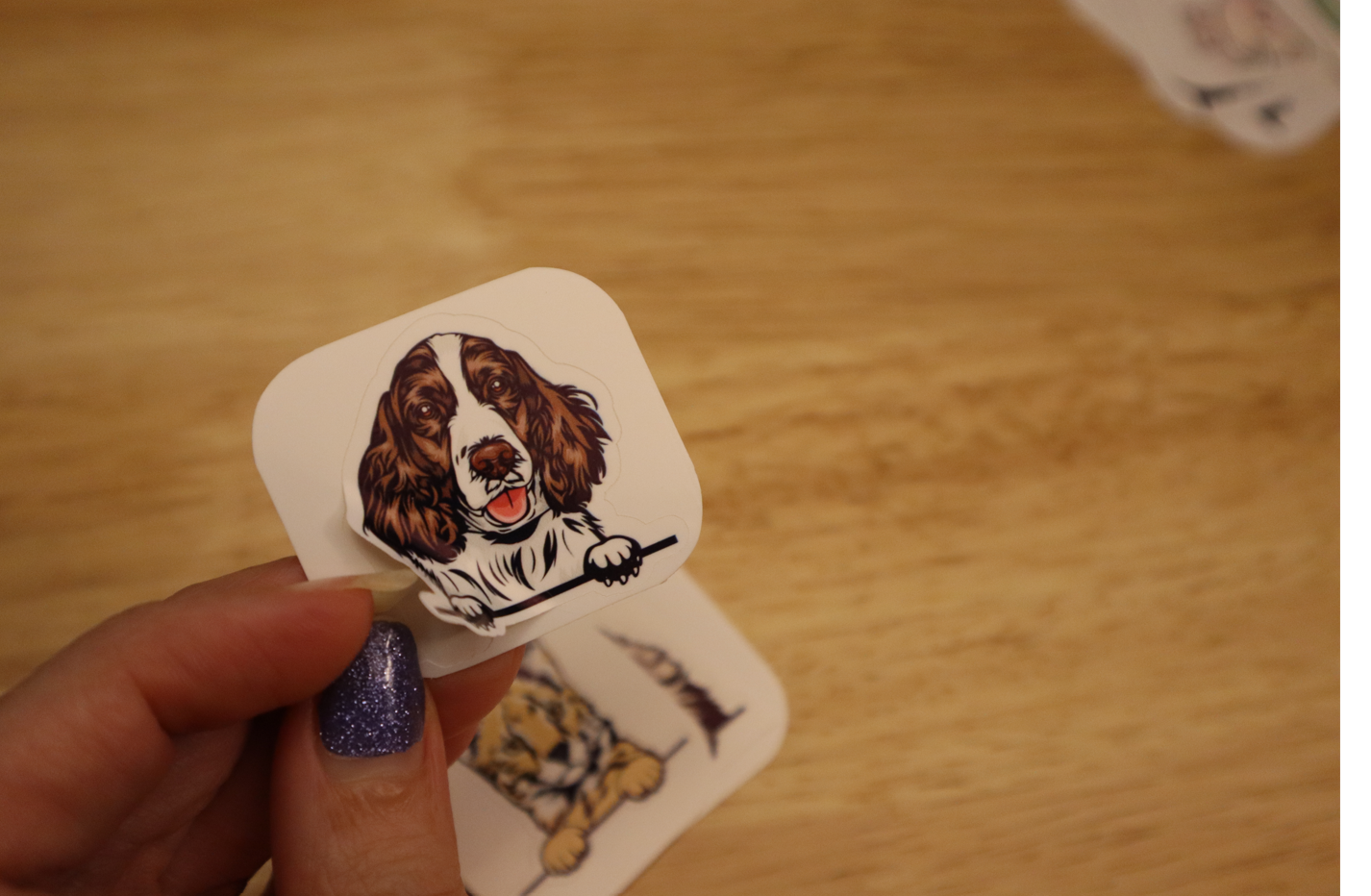 Peeking English Springer Spaniel Dog STICKER