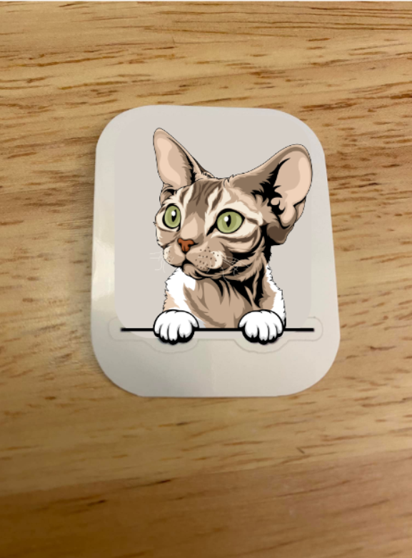Devon Rex Tabby Cat Sticker