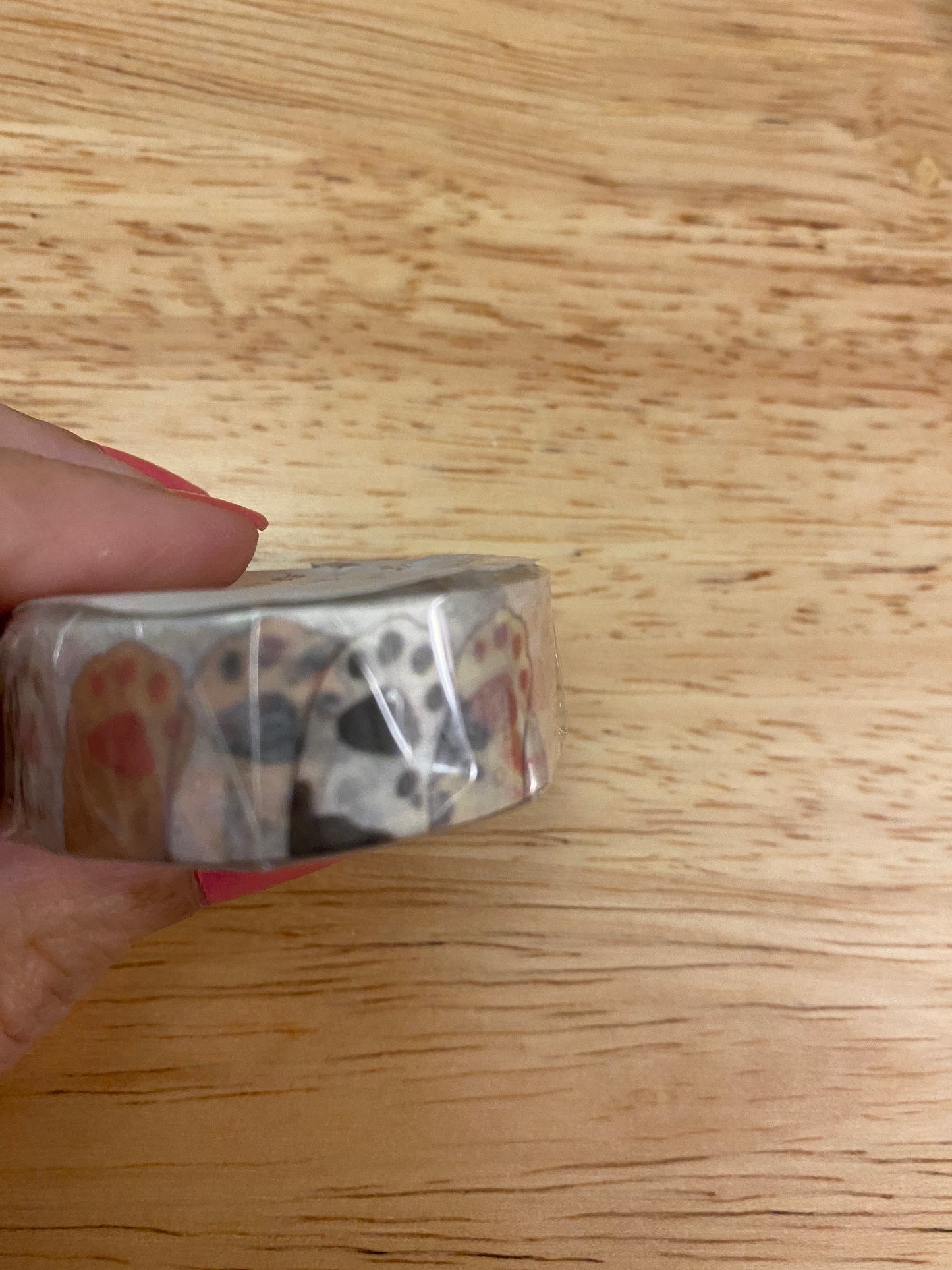 Medium Roll of Cat Paws Washi Tape
