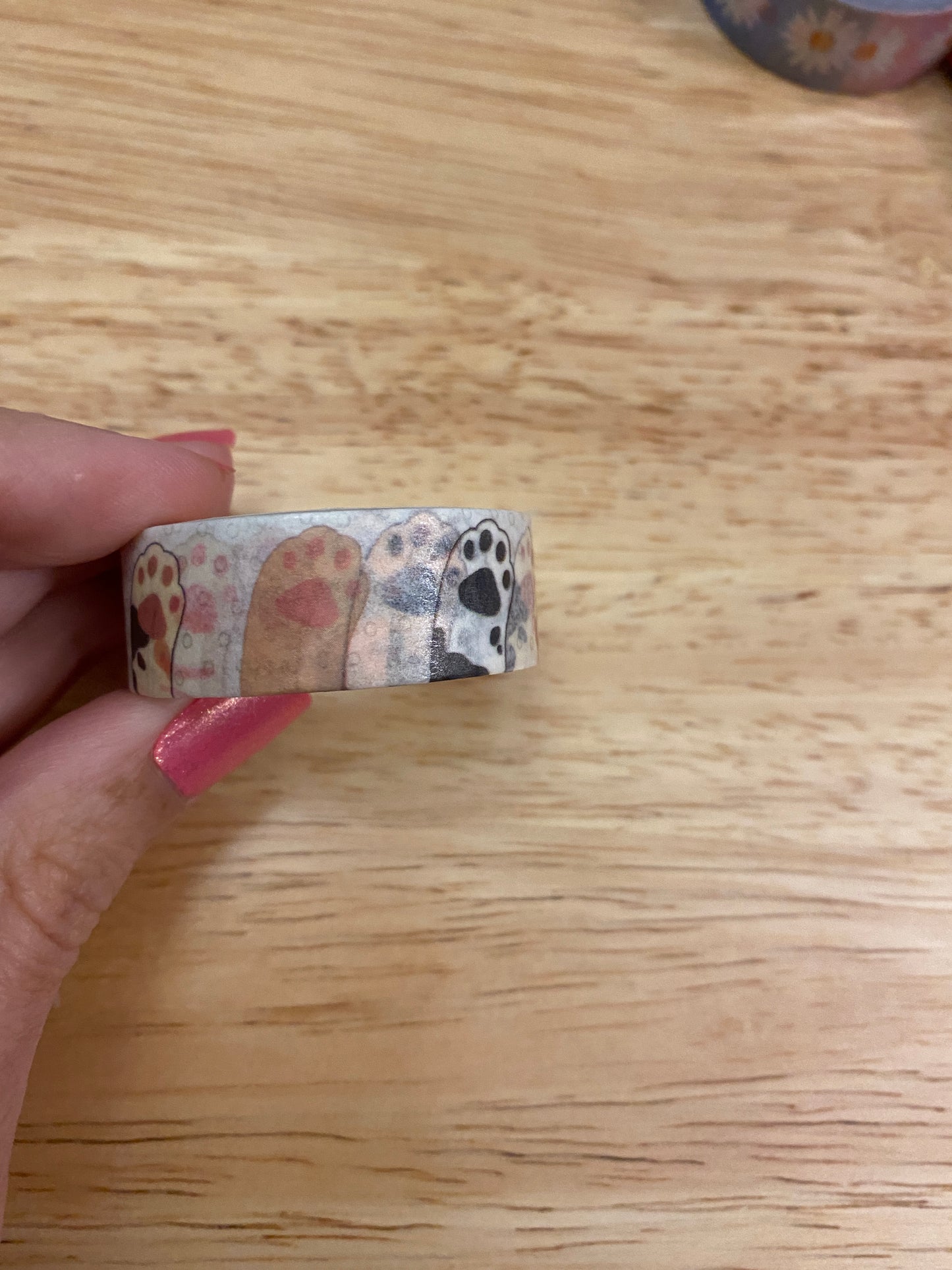Medium Roll of Cat Paws Washi Tape
