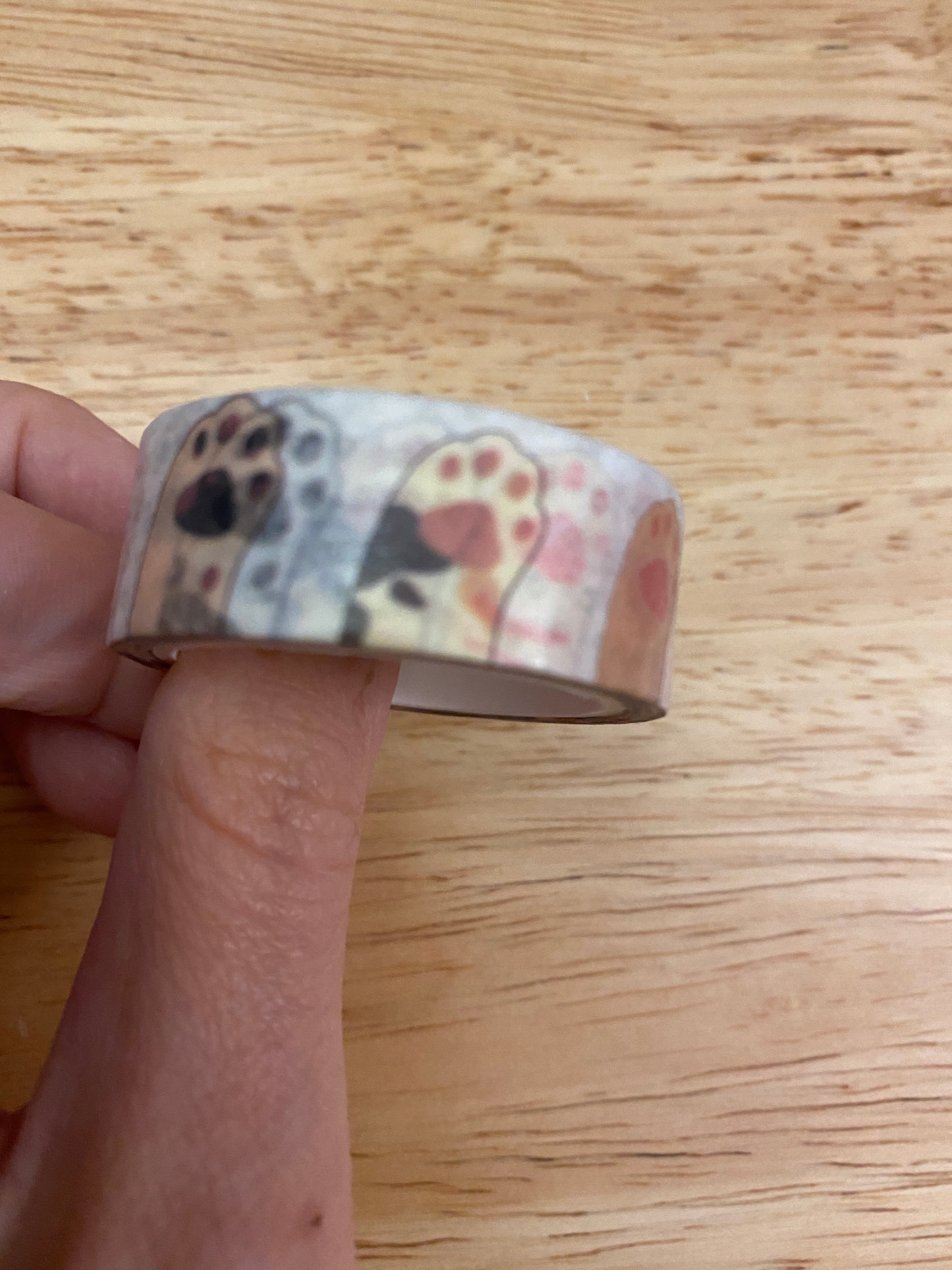 Medium Roll of Cat Paws Washi Tape