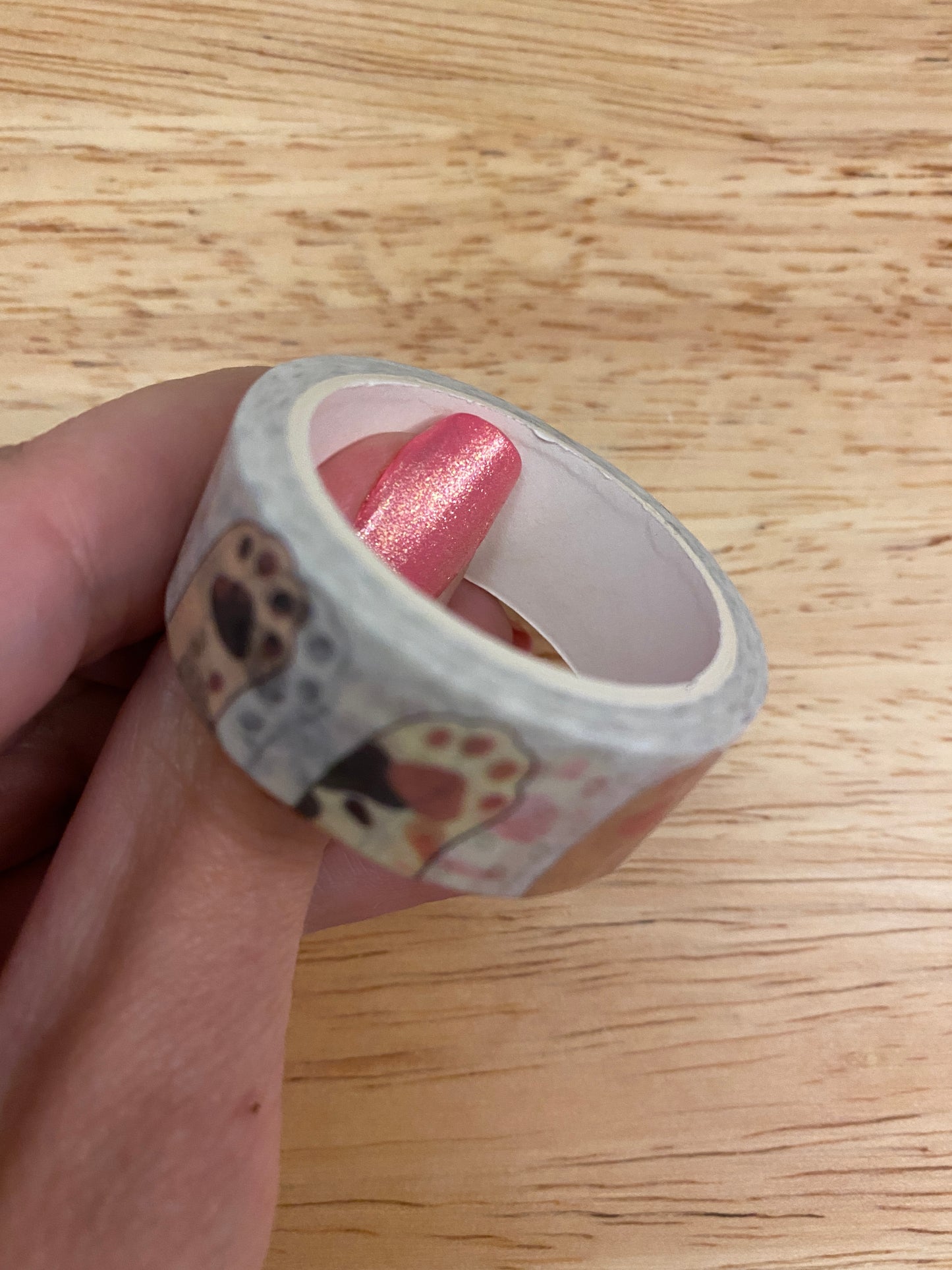 Medium Roll of Cat Paws Washi Tape