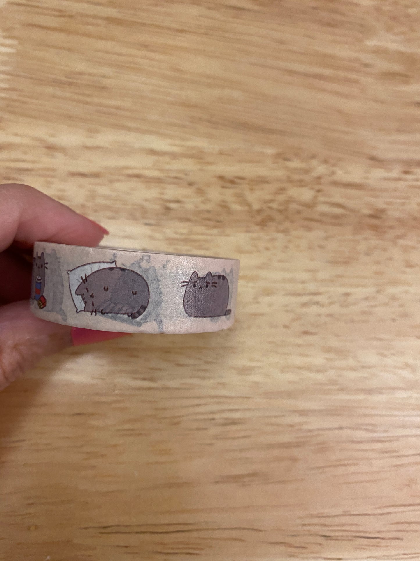 Big Roll of  Fat Plump Cat Washi Tape