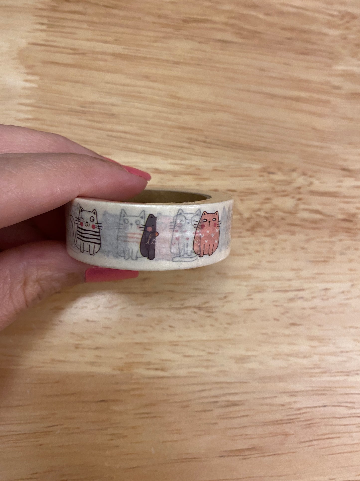 Big Roll of Sitting Cats Washi Tape