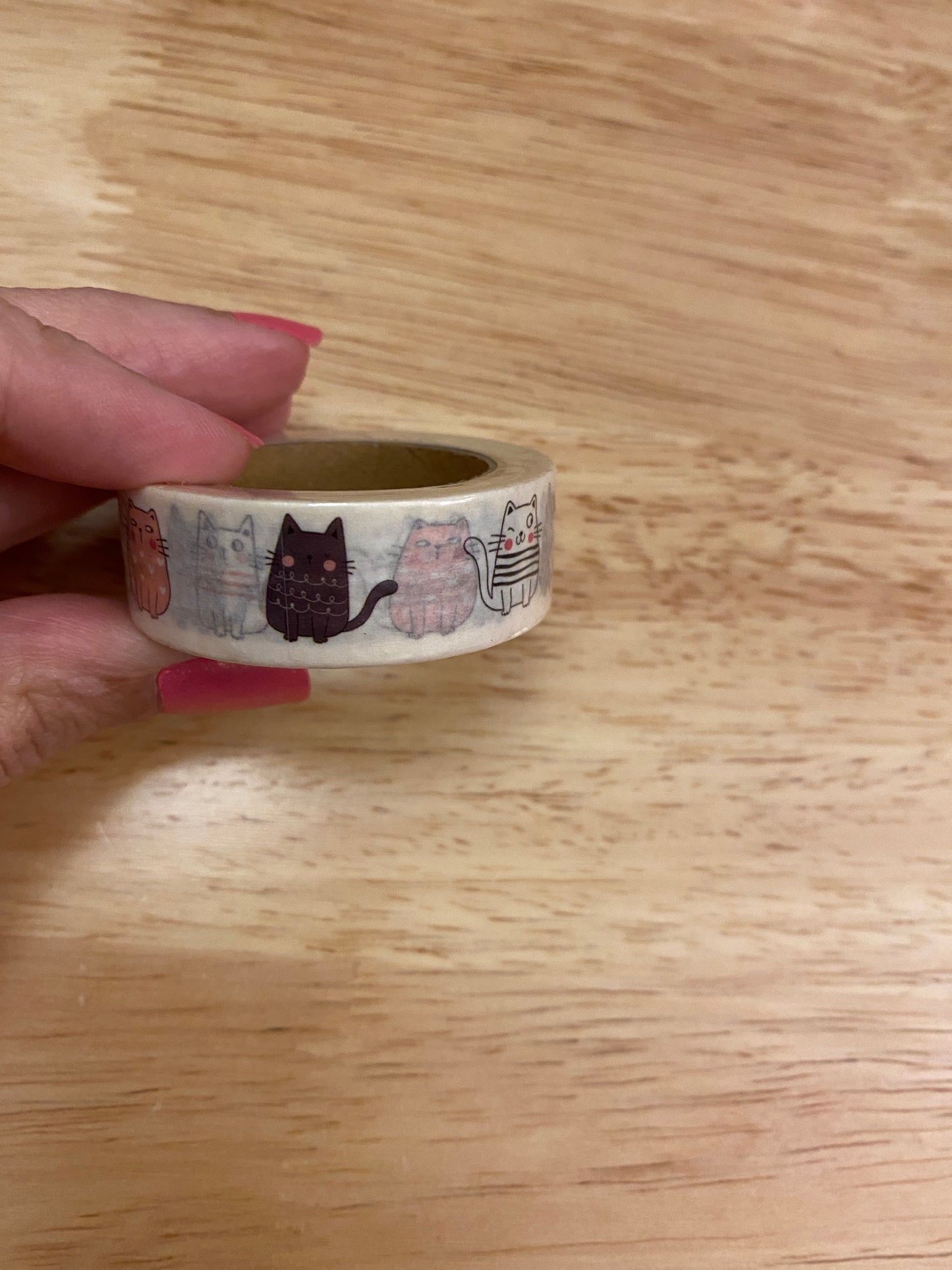 Big Roll of Sitting Cats Washi Tape