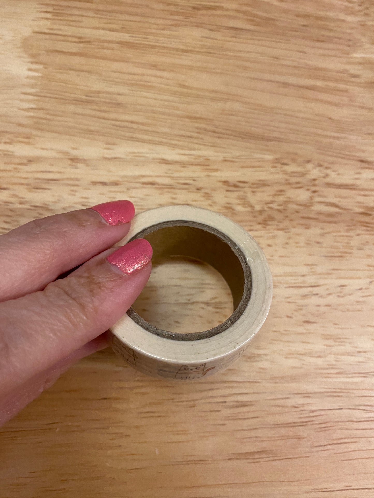 Big Roll of Sitting Cats Washi Tape