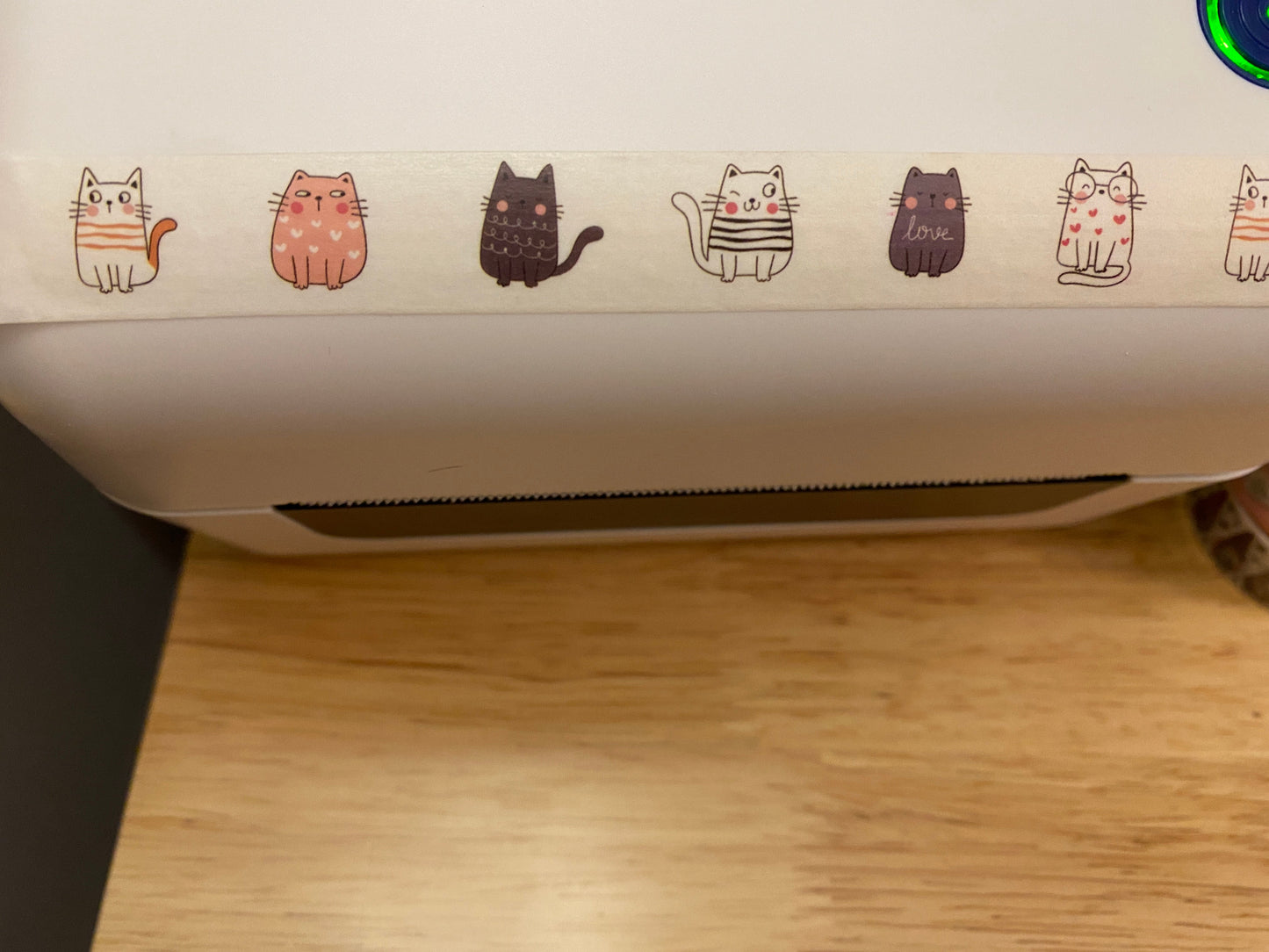 Big Roll of Sitting Cats Washi Tape