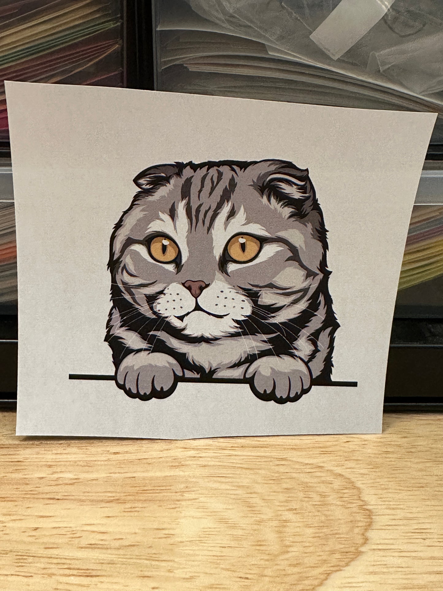 Peeking Grey Scotish fold cat Clear Sublimation or Clear Waterslide option,