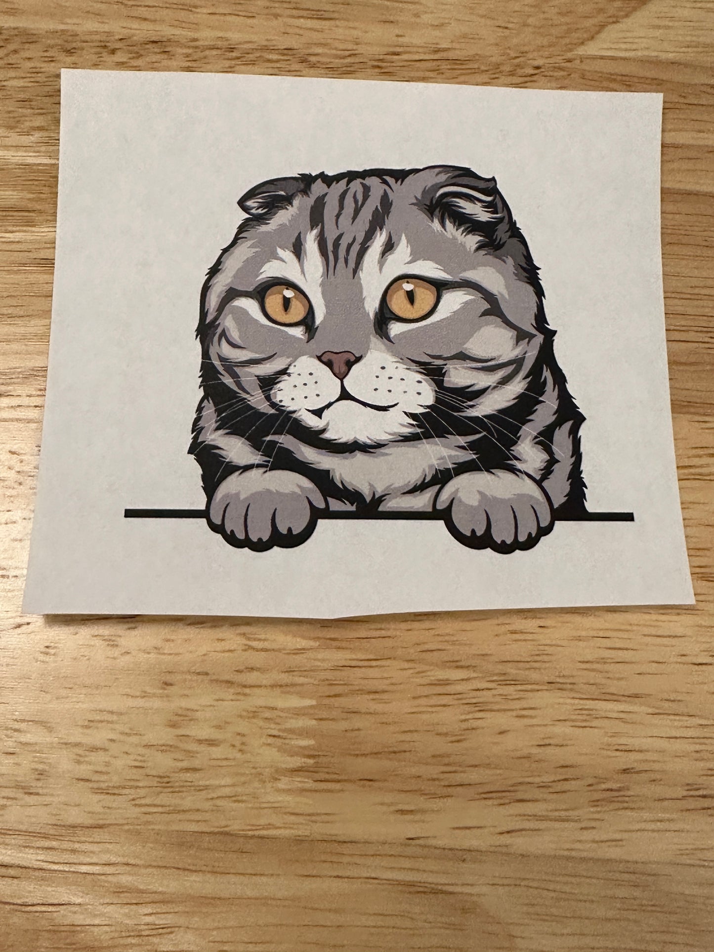 Peeking Grey Scotish fold cat Clear Sublimation or Clear Waterslide option,