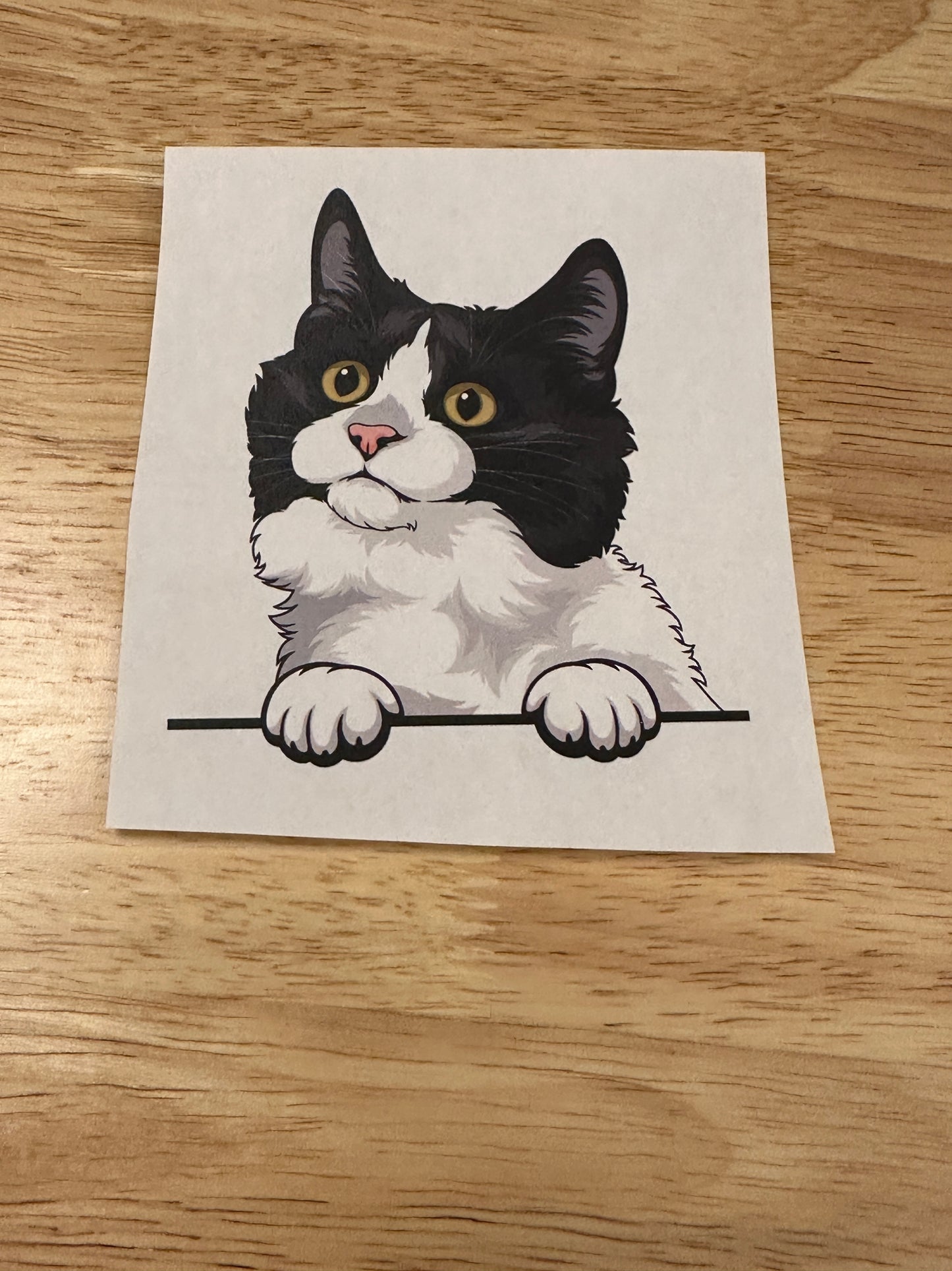 RTP Peeking Munchkin Cat Clear Sublimation or Clear Waterslide option,