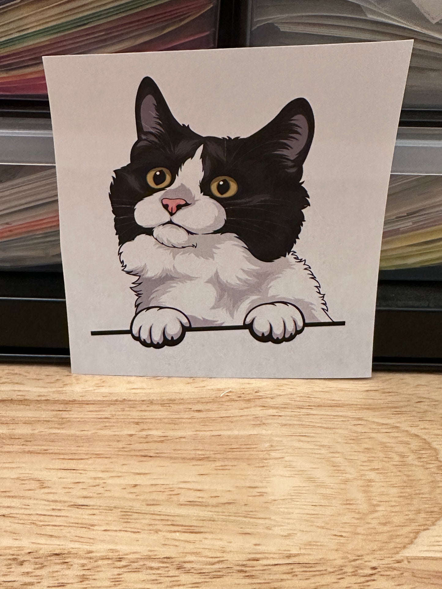 RTP Peeking Munchkin Cat Clear Sublimation or Clear Waterslide option,