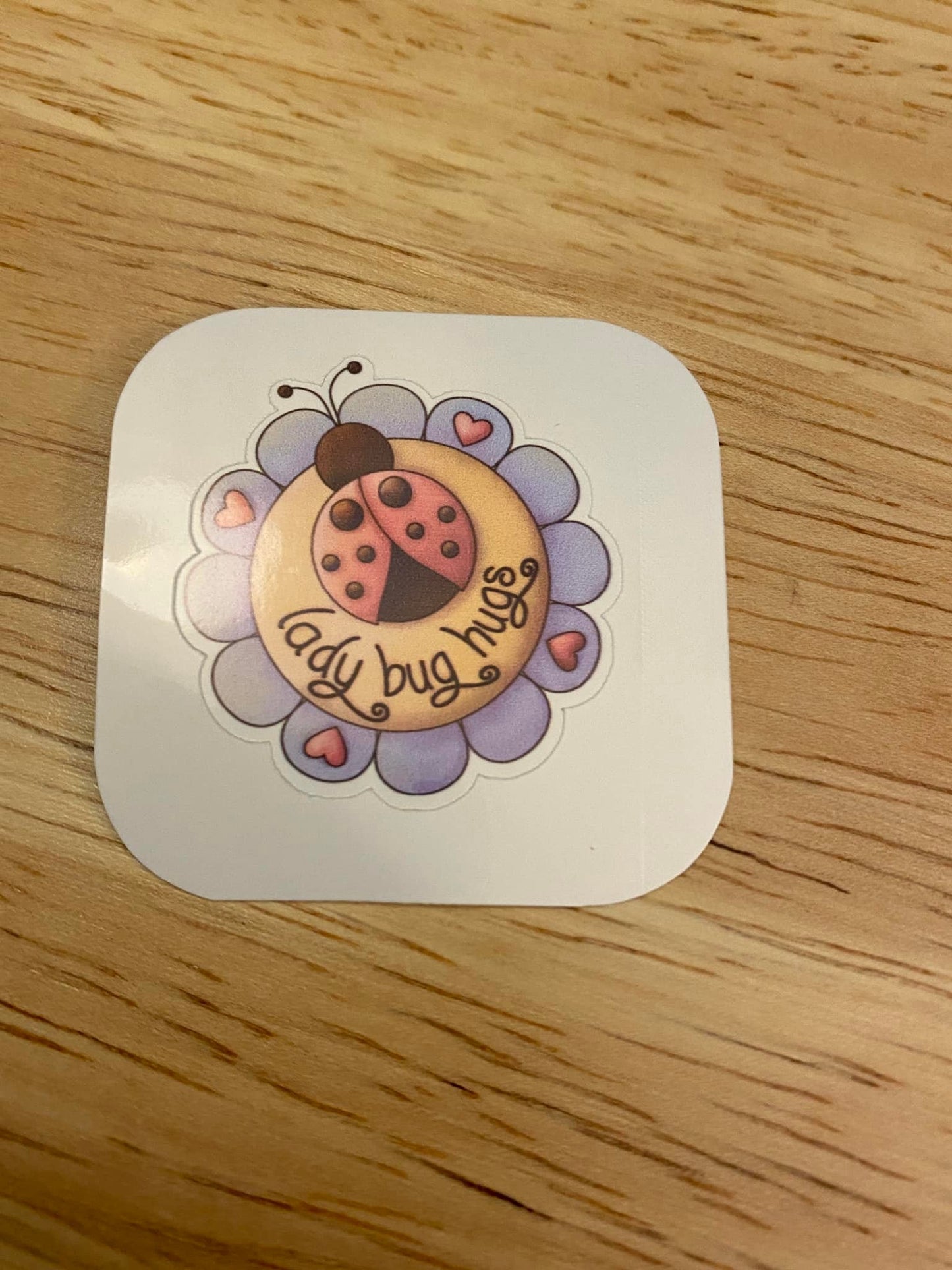Cute Lady Bug Hugs Sticker