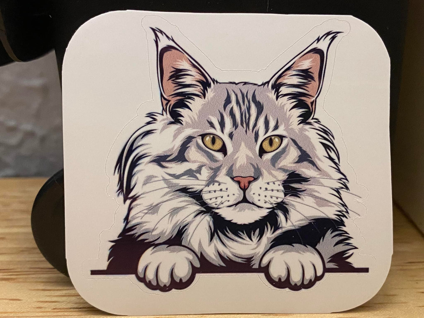 Silver Maine Coon Cat STICKER