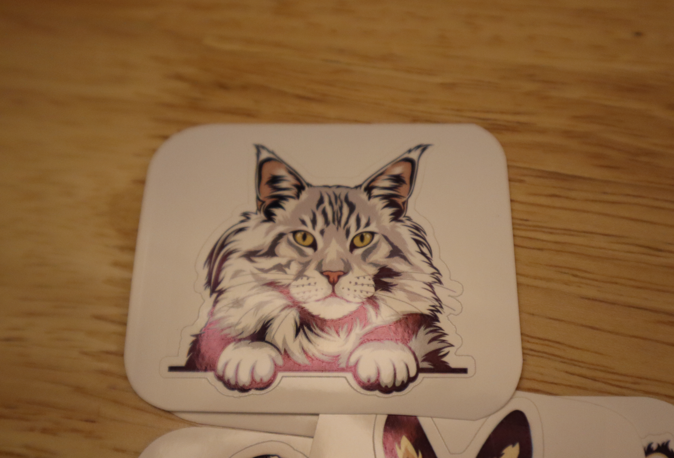 Silver Maine Coon Cat STICKER