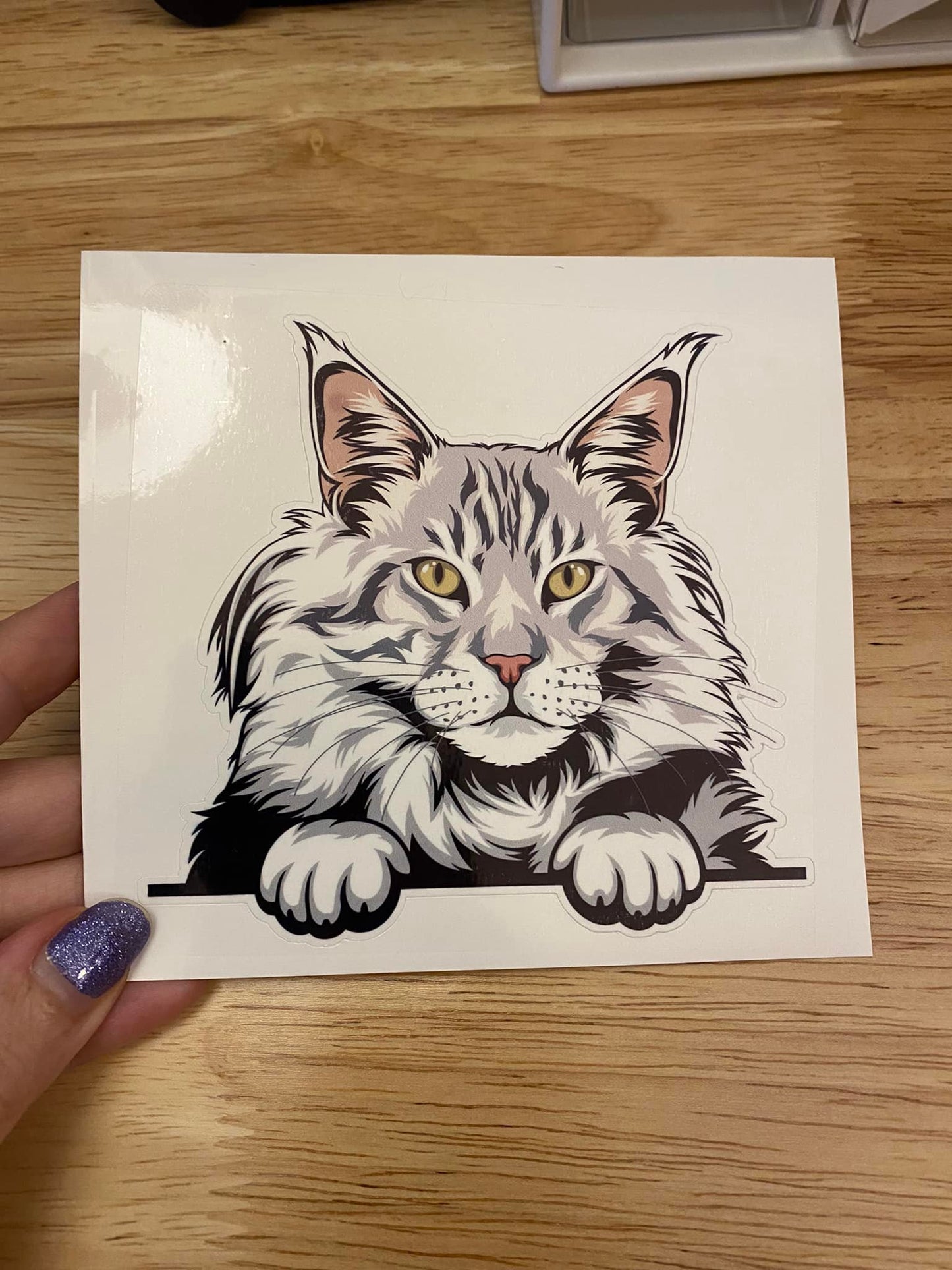Silver Maine Coon Cat STICKER