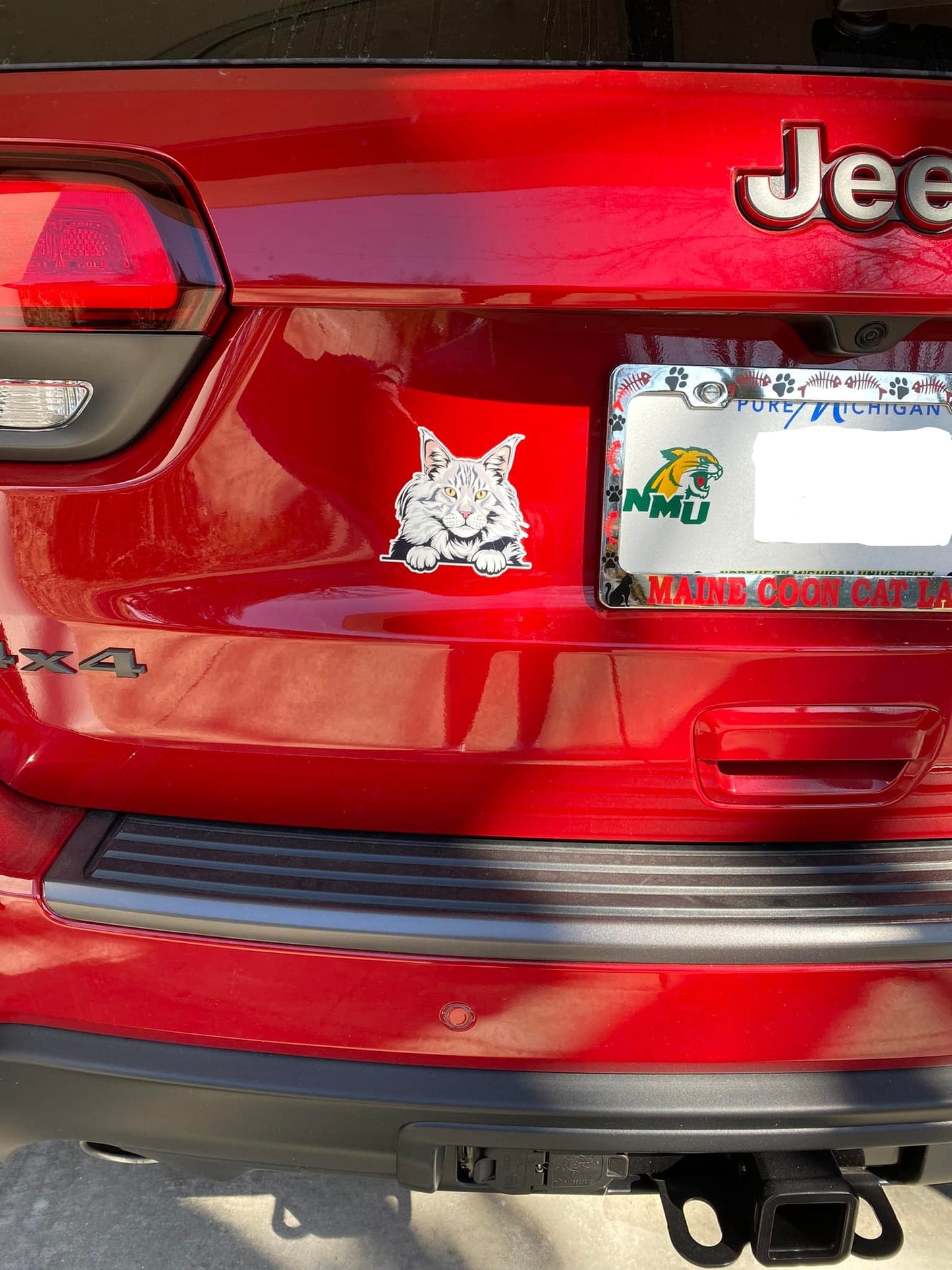 Silver Maine Coon Cat Car Decal