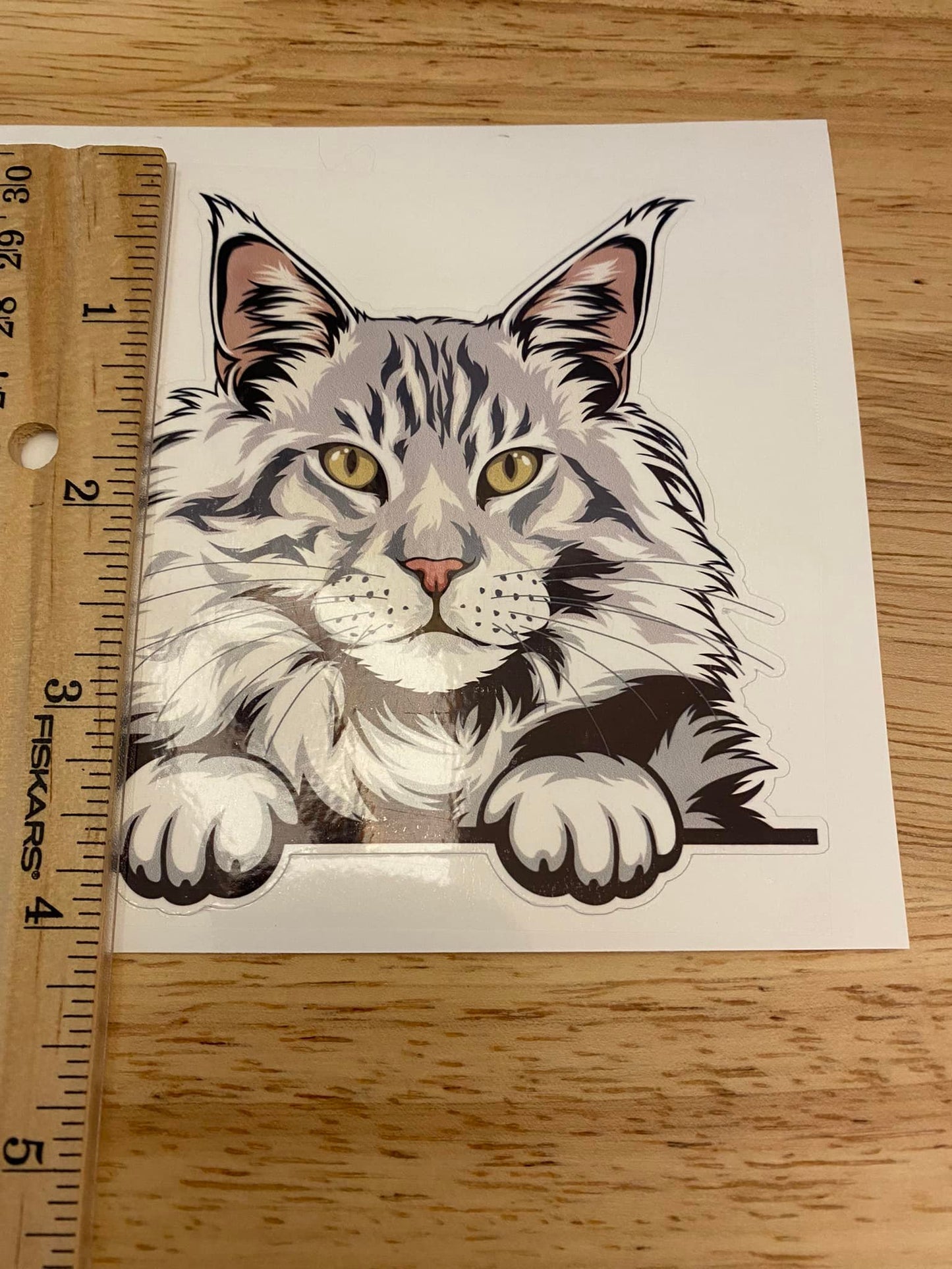 Silver Maine Coon Cat Car Decal
