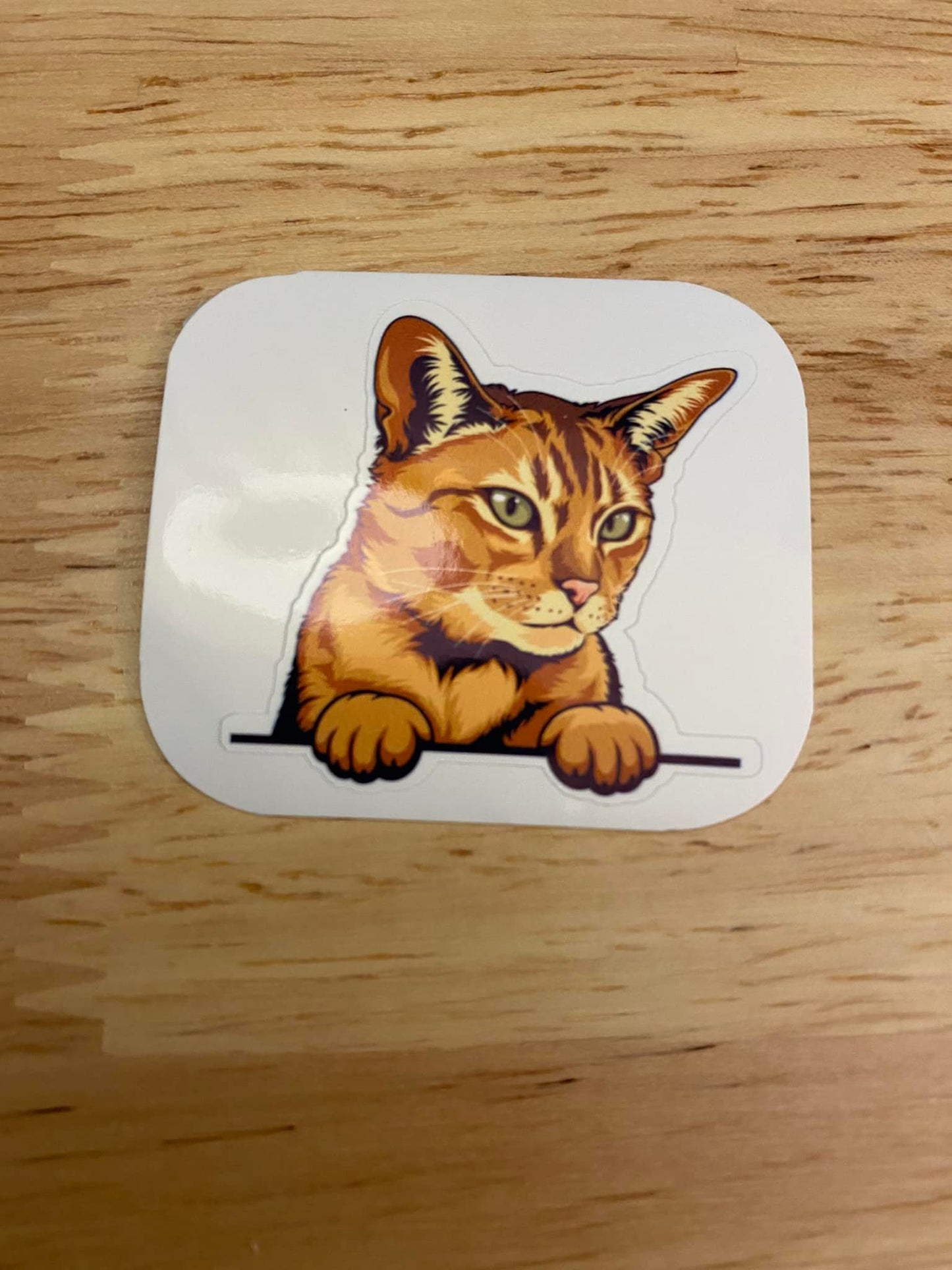 Abyssinian Cat STICKER