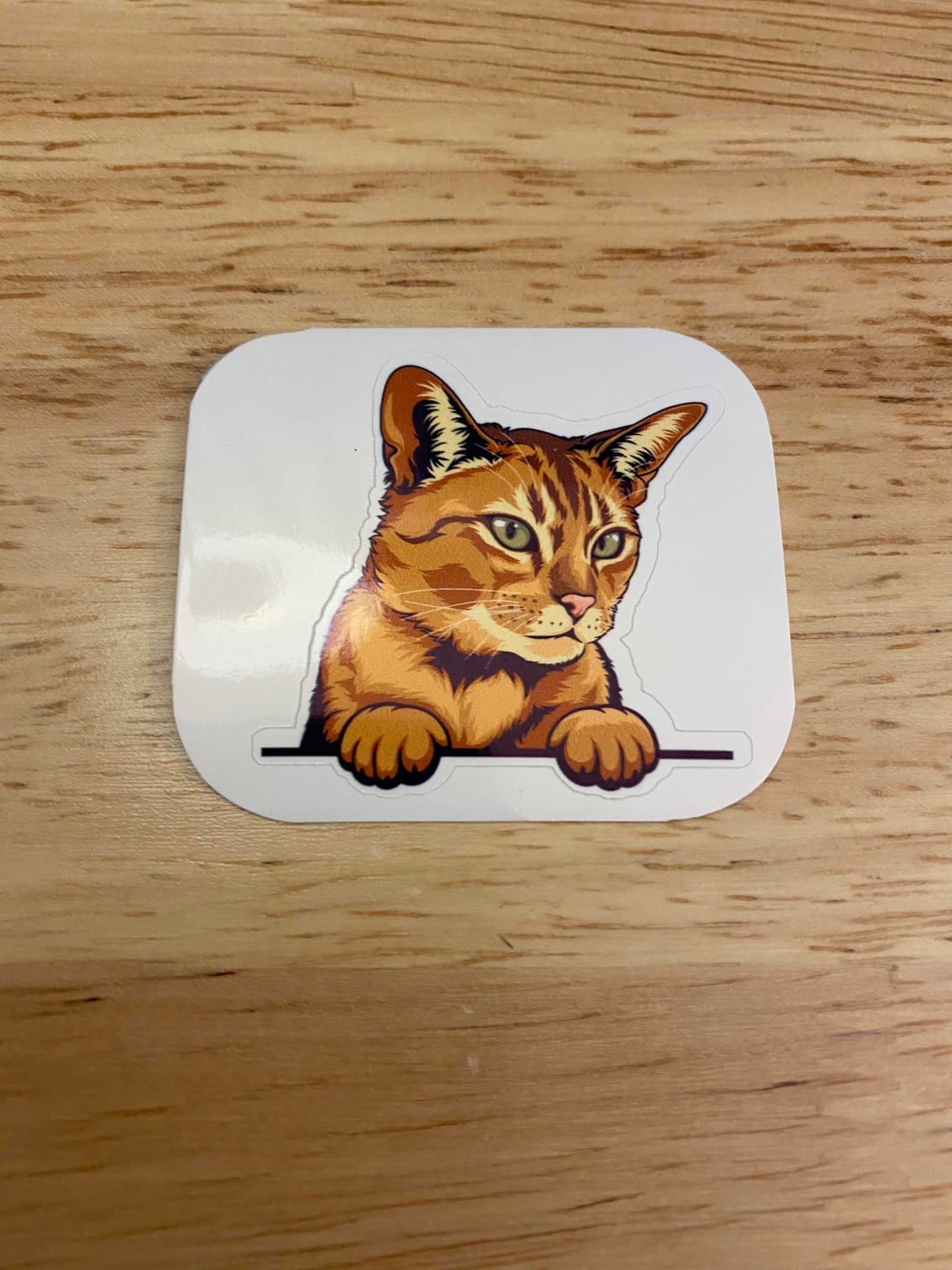 Abyssinian Cat STICKER