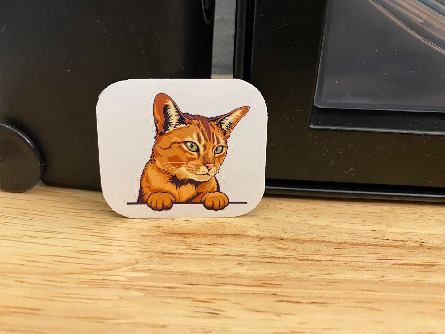 Abyssinian Cat STICKER